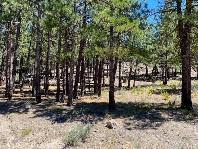 Portola, CA 96106,235 Morning Star