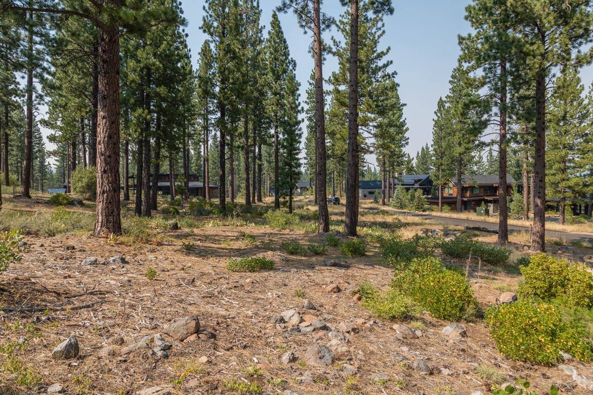 Truckee, CA 96161,2412 Newhall Court