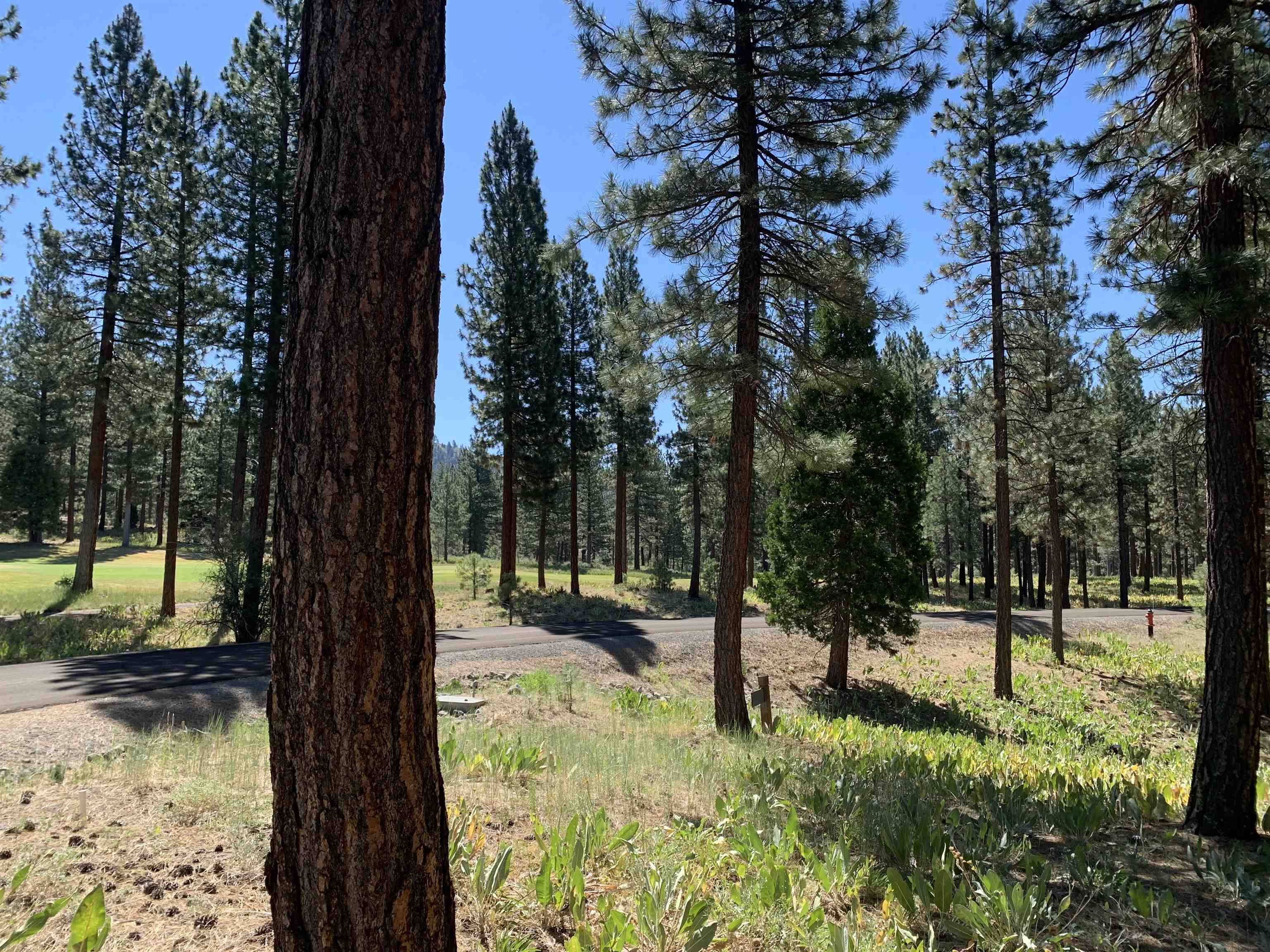 Portola, CA 96122,149 Big Grizzly Road