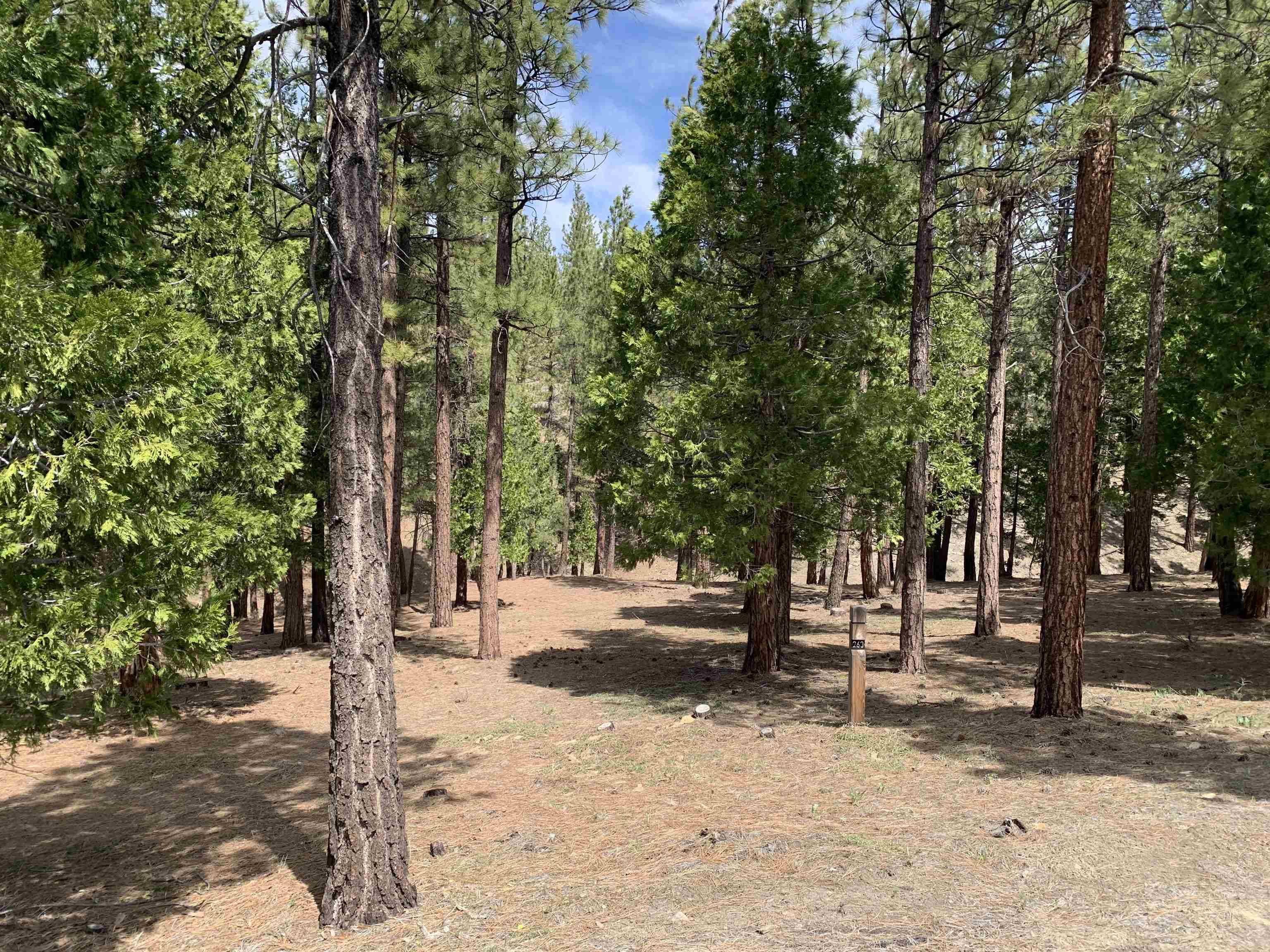 Portola, CA 96122,310 Starflower Drive