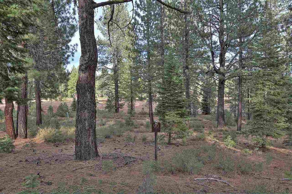 Truckee, CA 96161,11101 China Camp Road