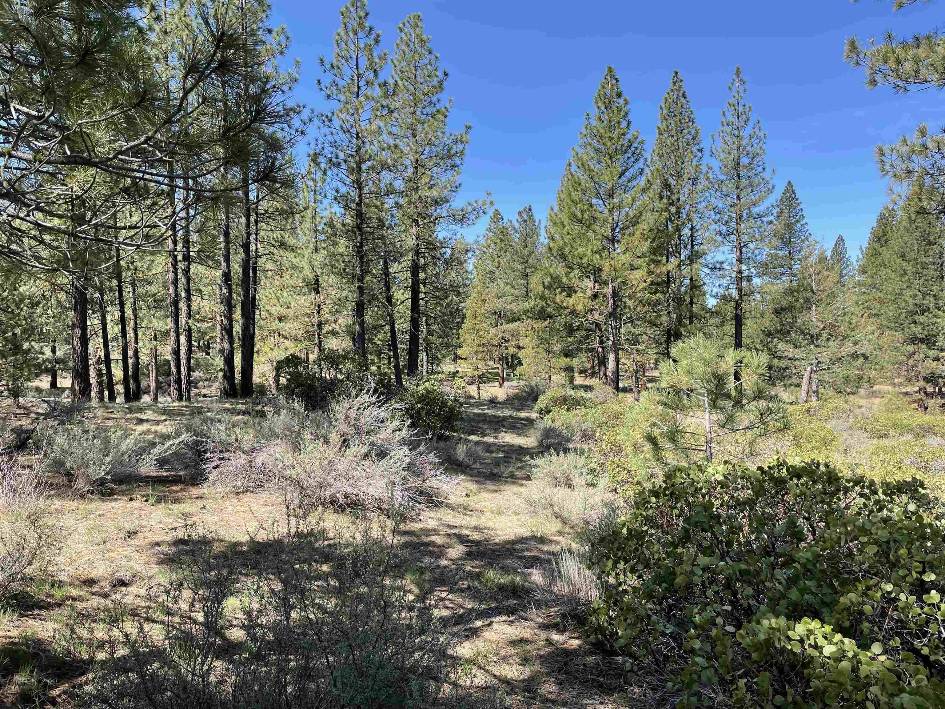 Portola, CA 96122,427 Sunburst