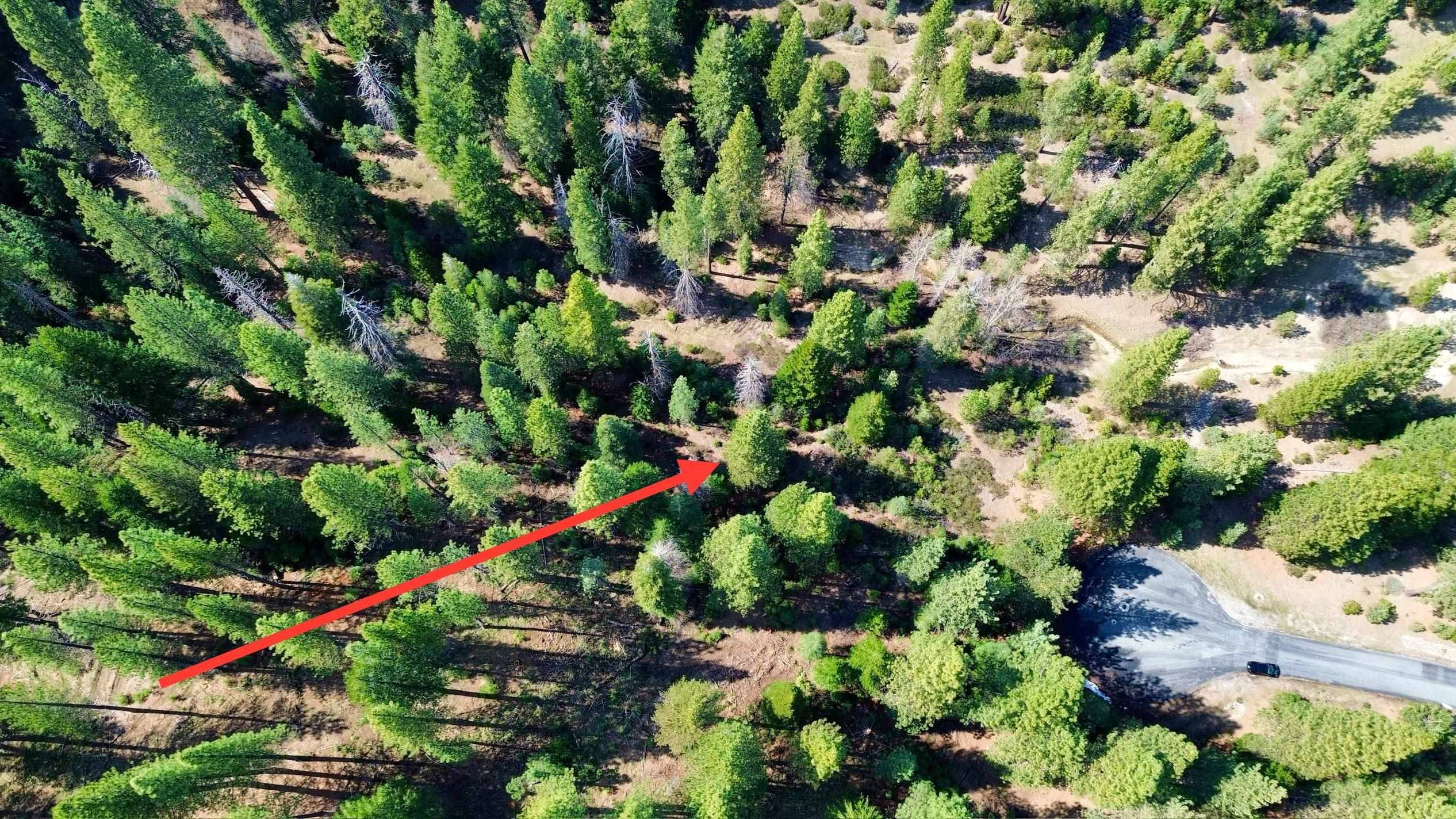 Blairsden, CA 96103,638 Eureka Springs Drive