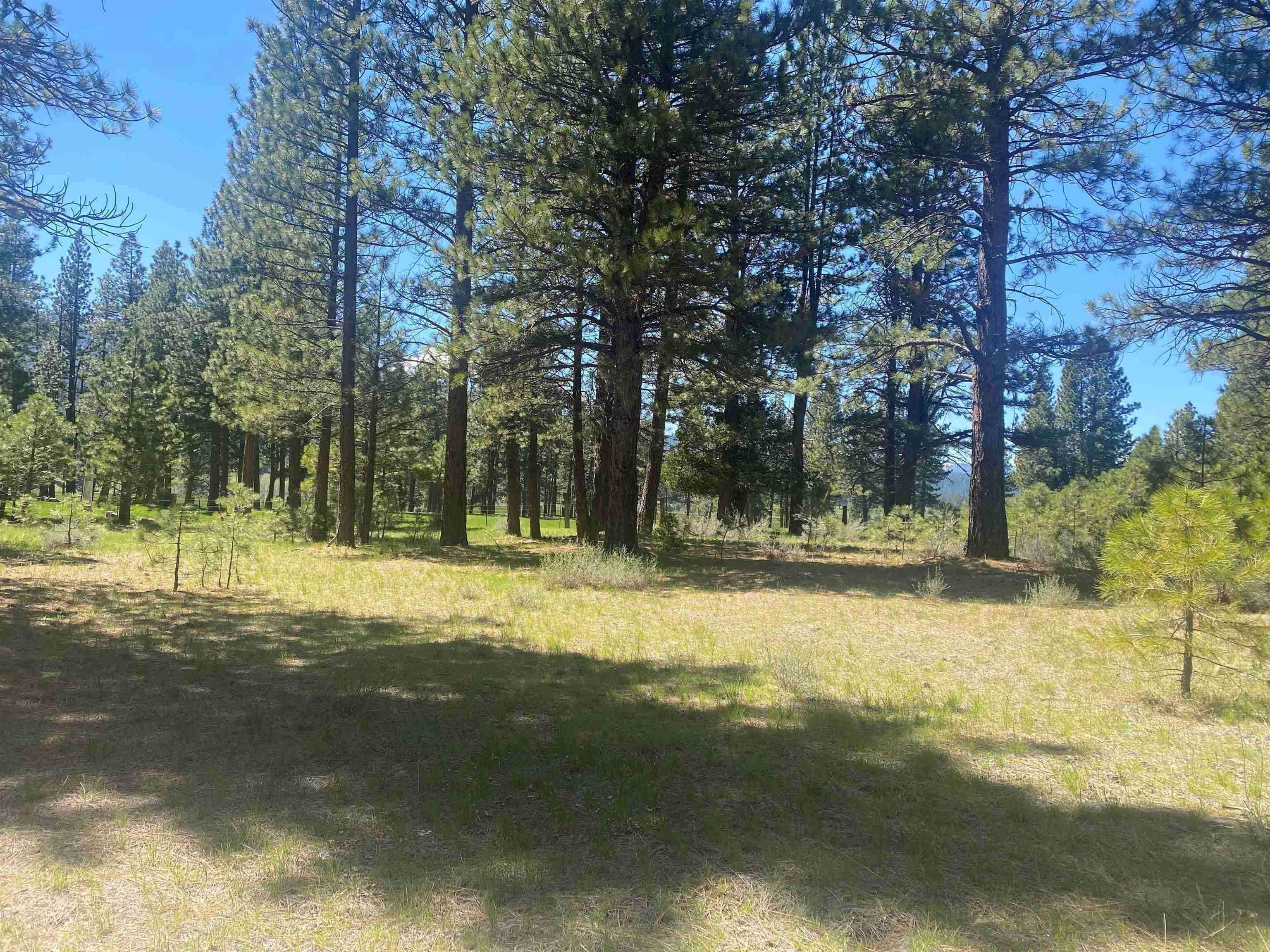 Clio, CA 96106,553 Redtail Loop