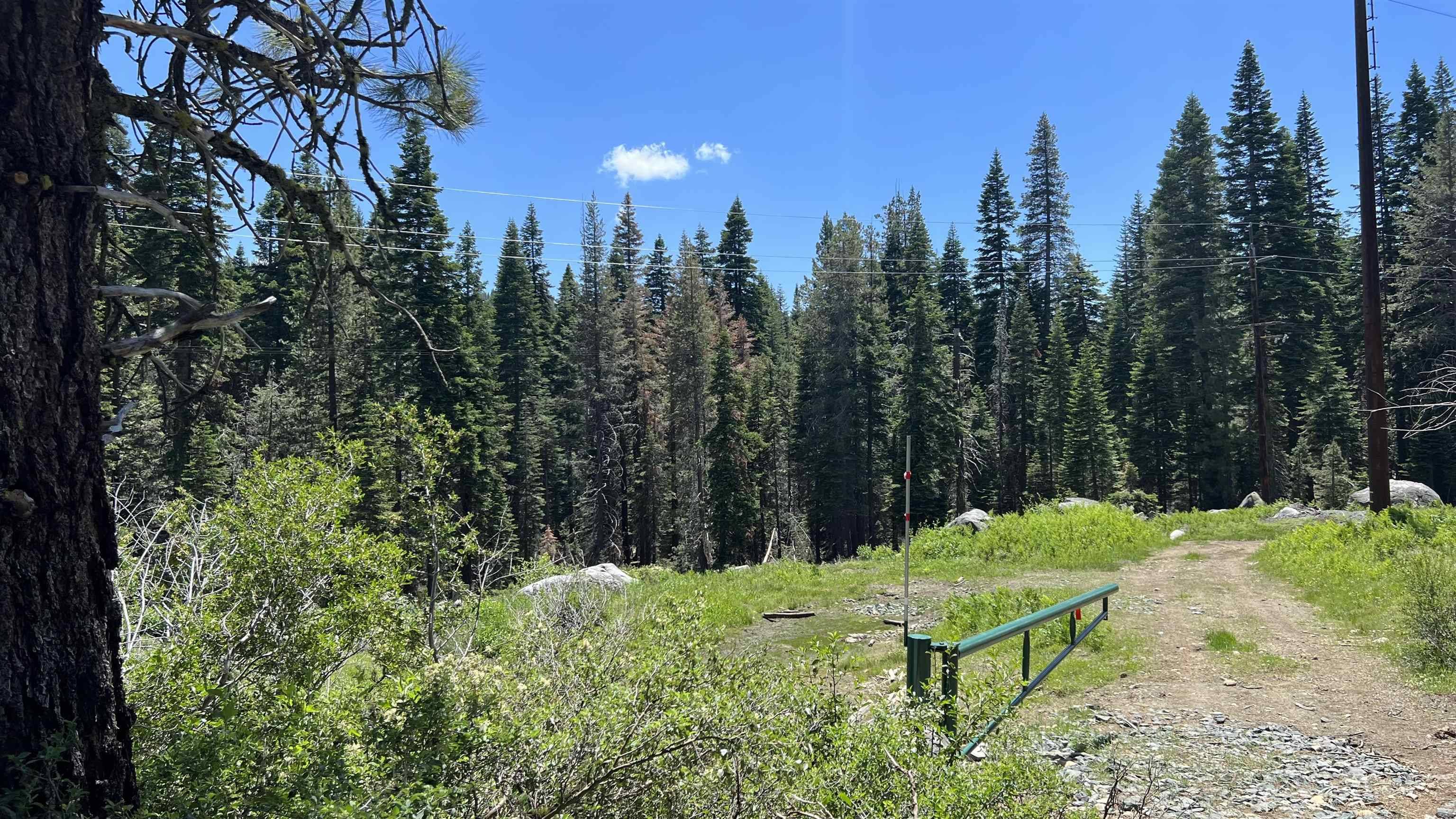 Soda Springs, CA 95728,51460 Red Fir Drive