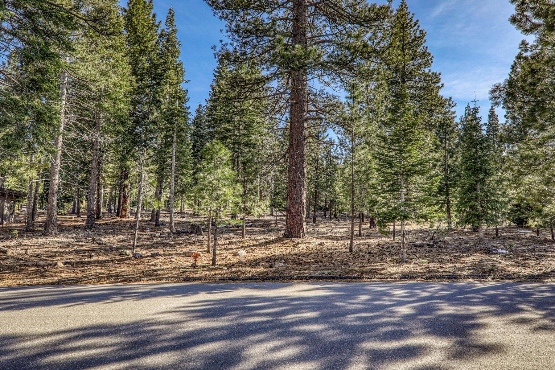 Truckee, CA 96161,10669 Carson Range Road