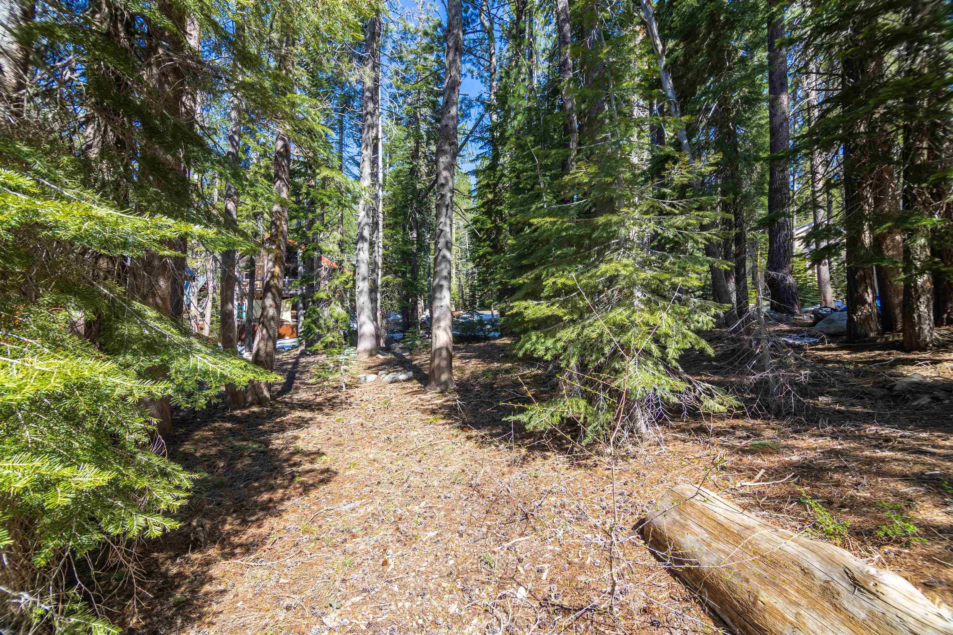 Soda Springs, CA 95728,50886 Jeffery Pine Drive