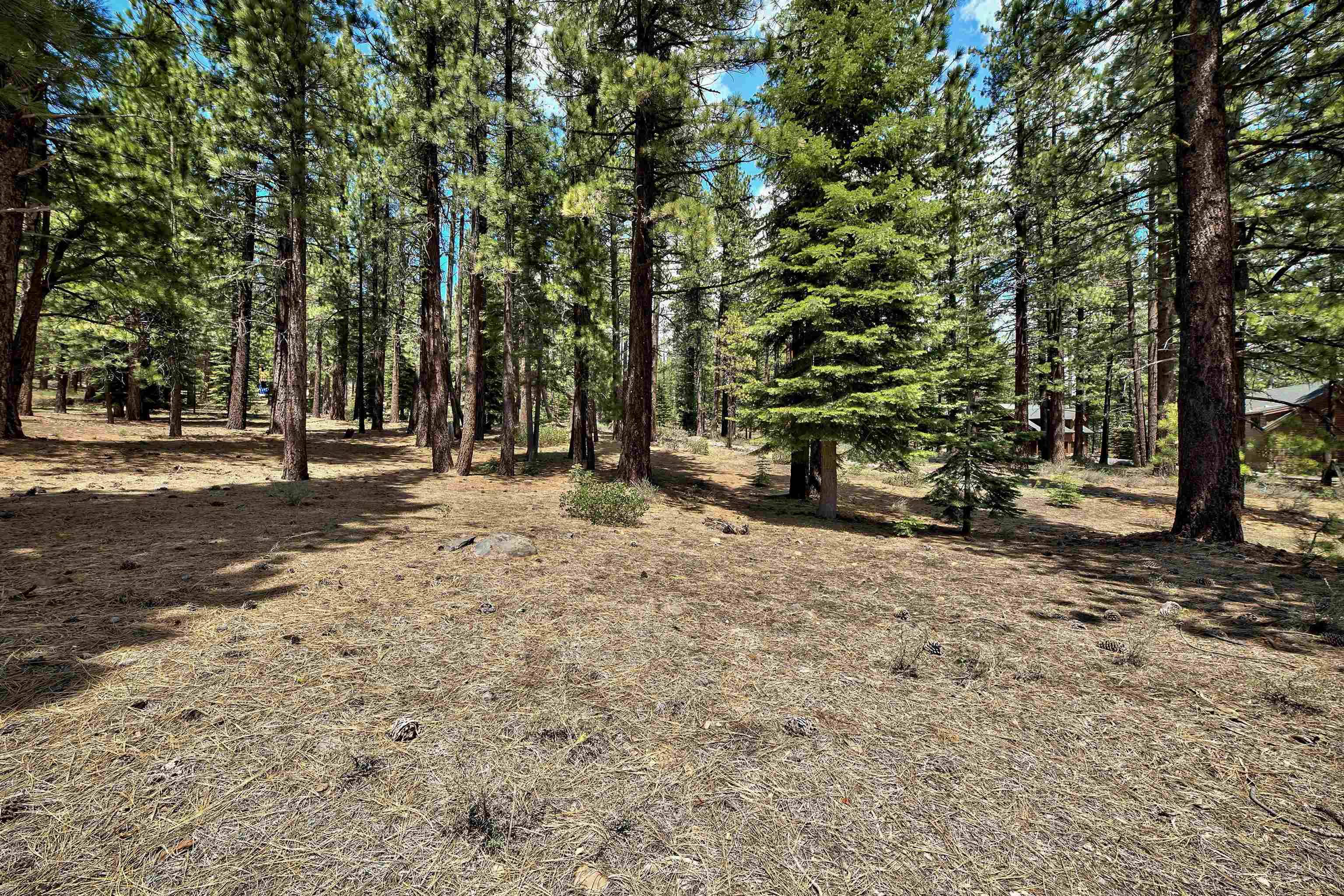 Truckee, CA 96161,12510 Granite Drive