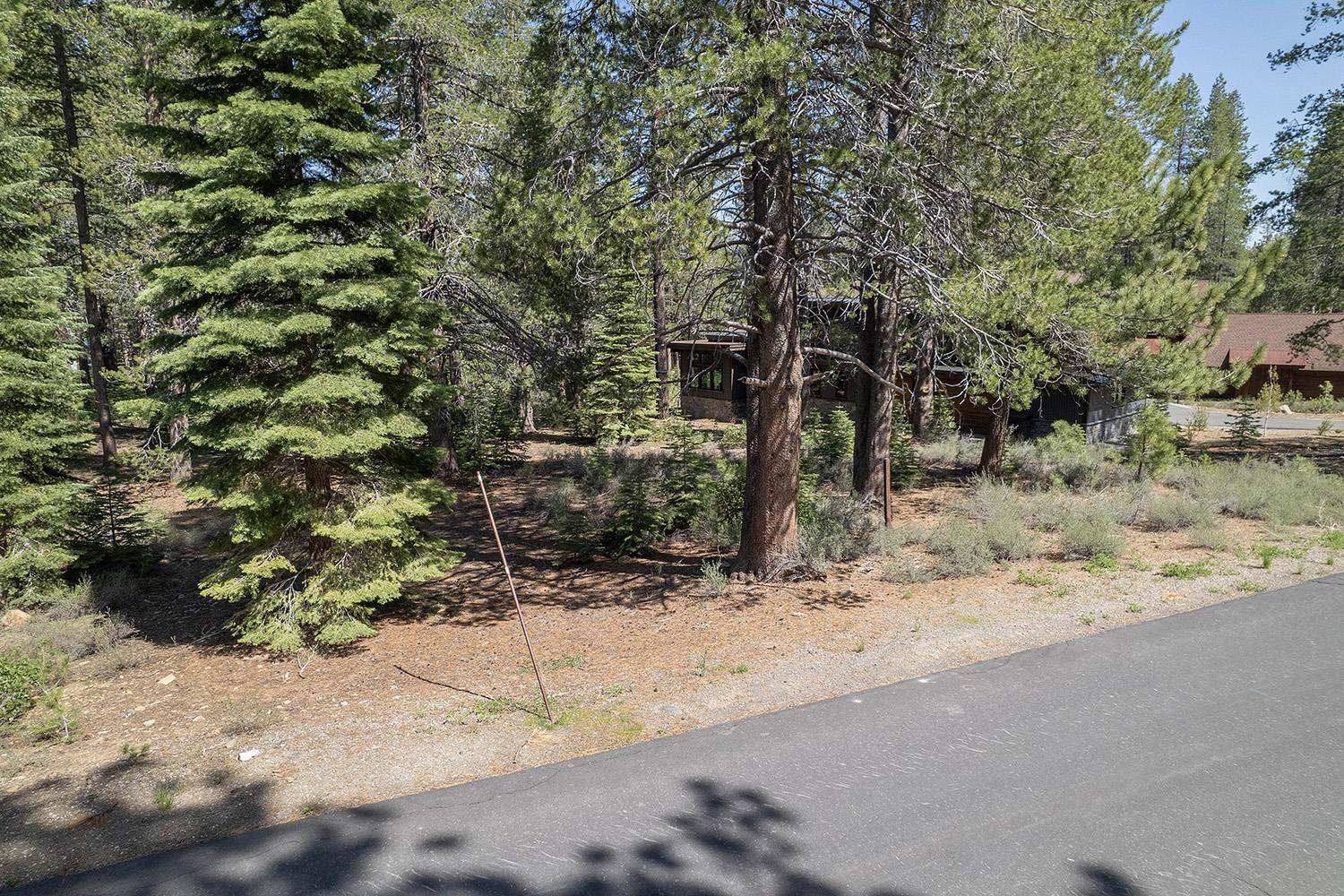 Truckee, CA 96161,11841 Bottcher Loop