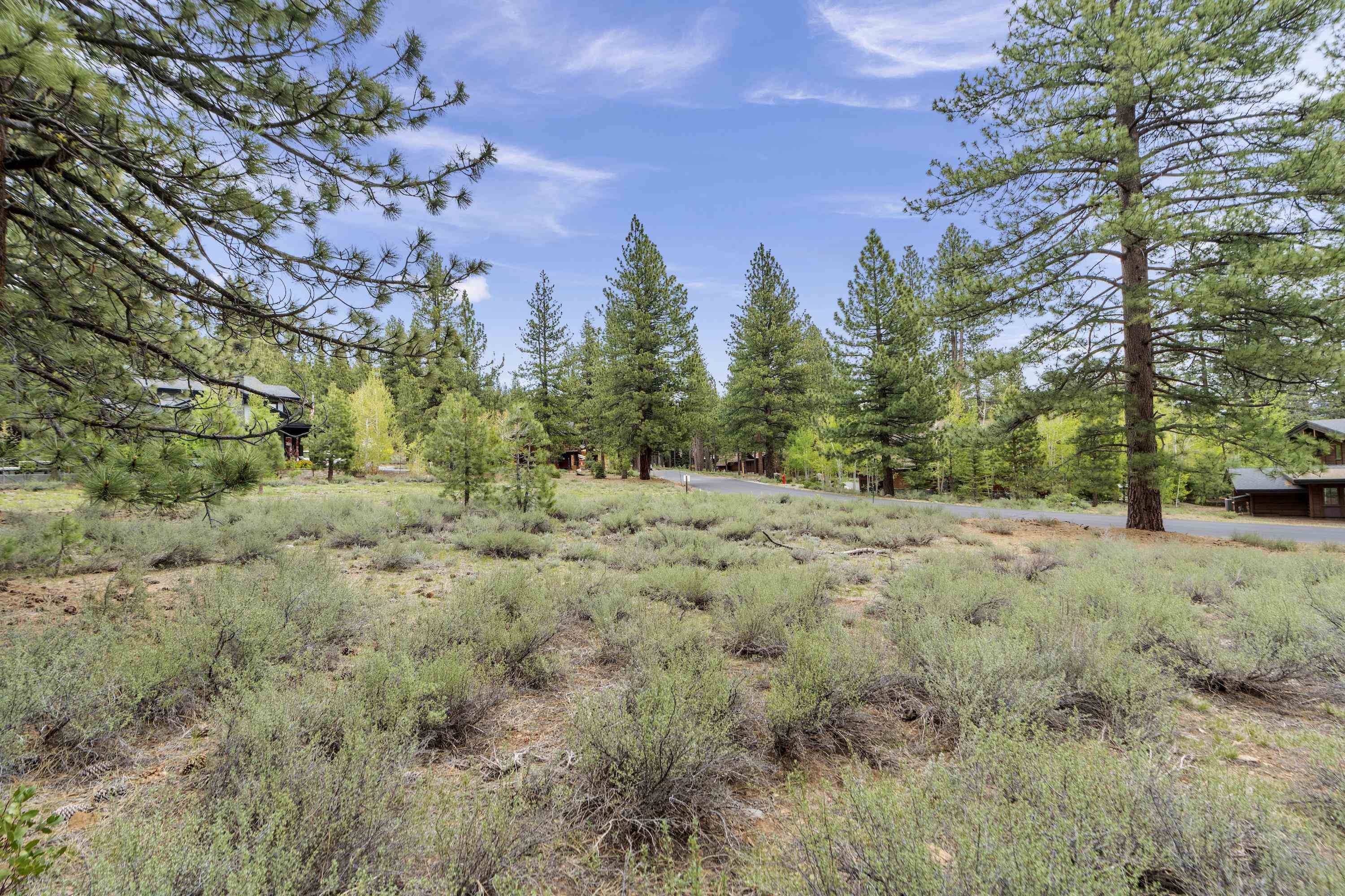 Truckee, CA 96161,11690 Bottcher Loop