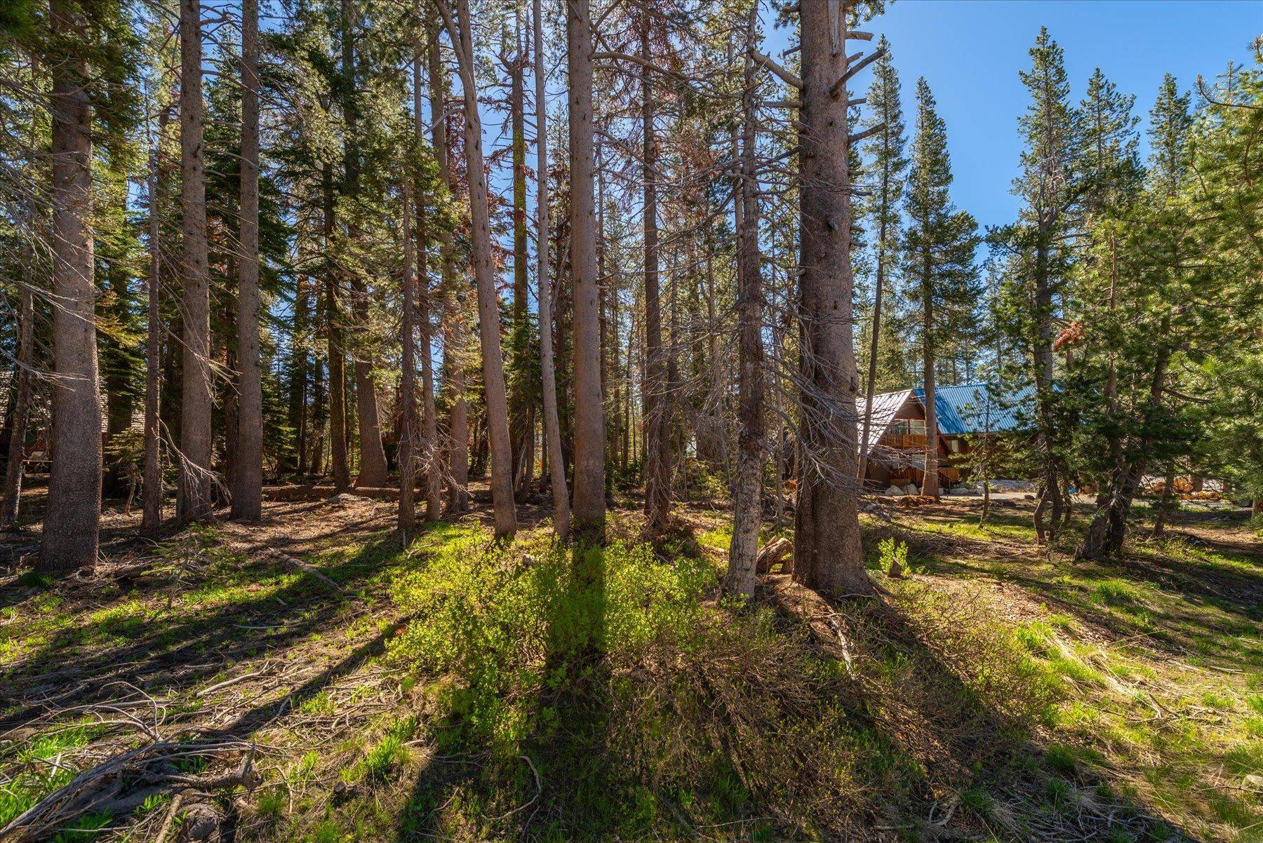 Soda Springs, CA 95728,6626 Yuba Drive