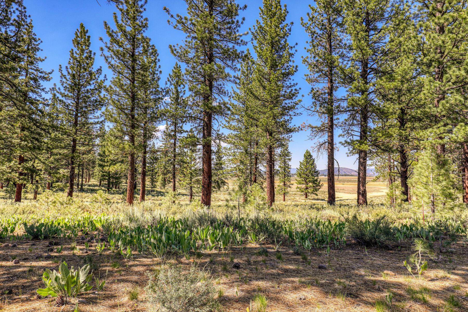 Truckee, CA 96161,7445 Lahontan Drive