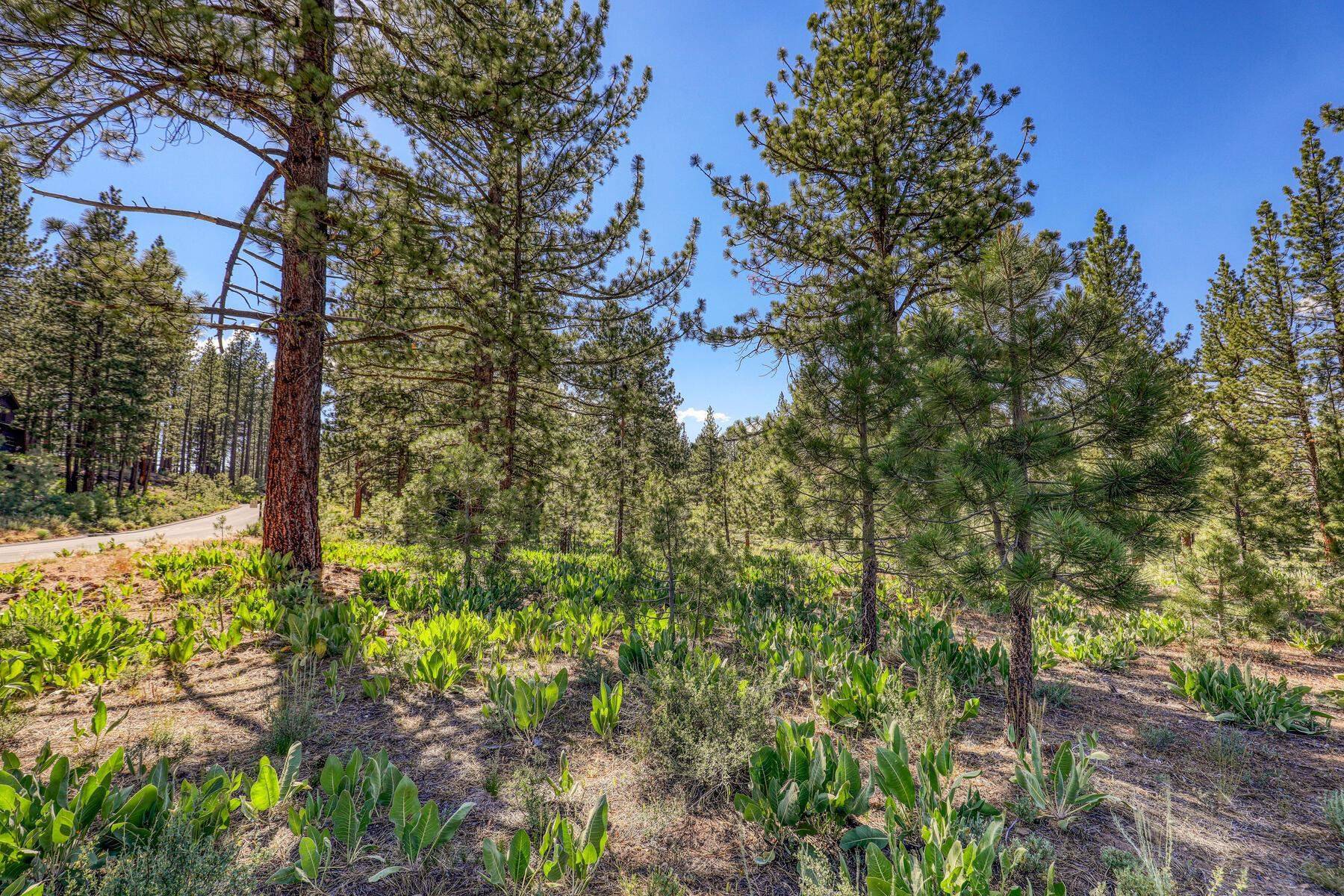 Truckee, CA 96161,7445 Lahontan Drive