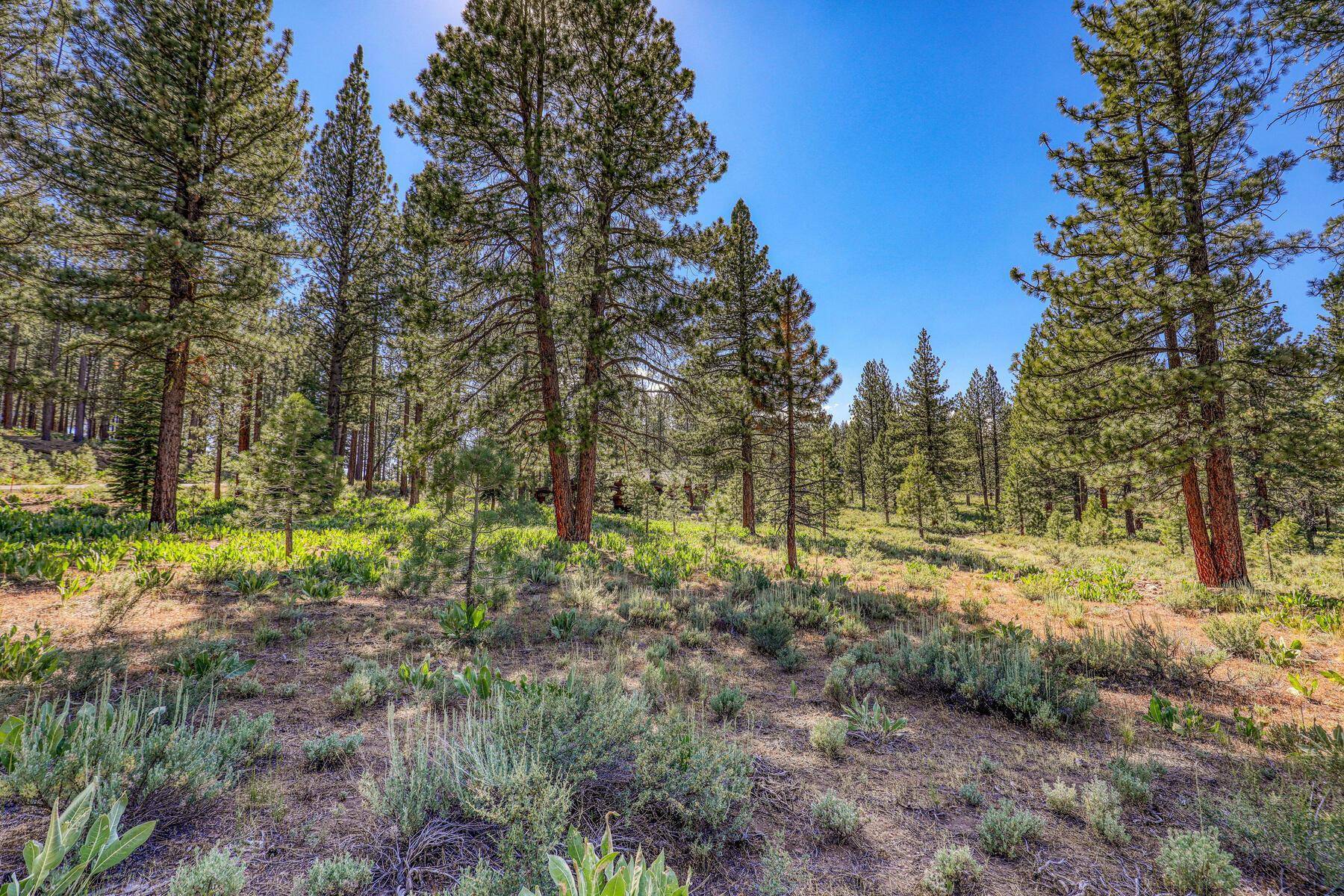 Truckee, CA 96161,7455 Lahontan Drive