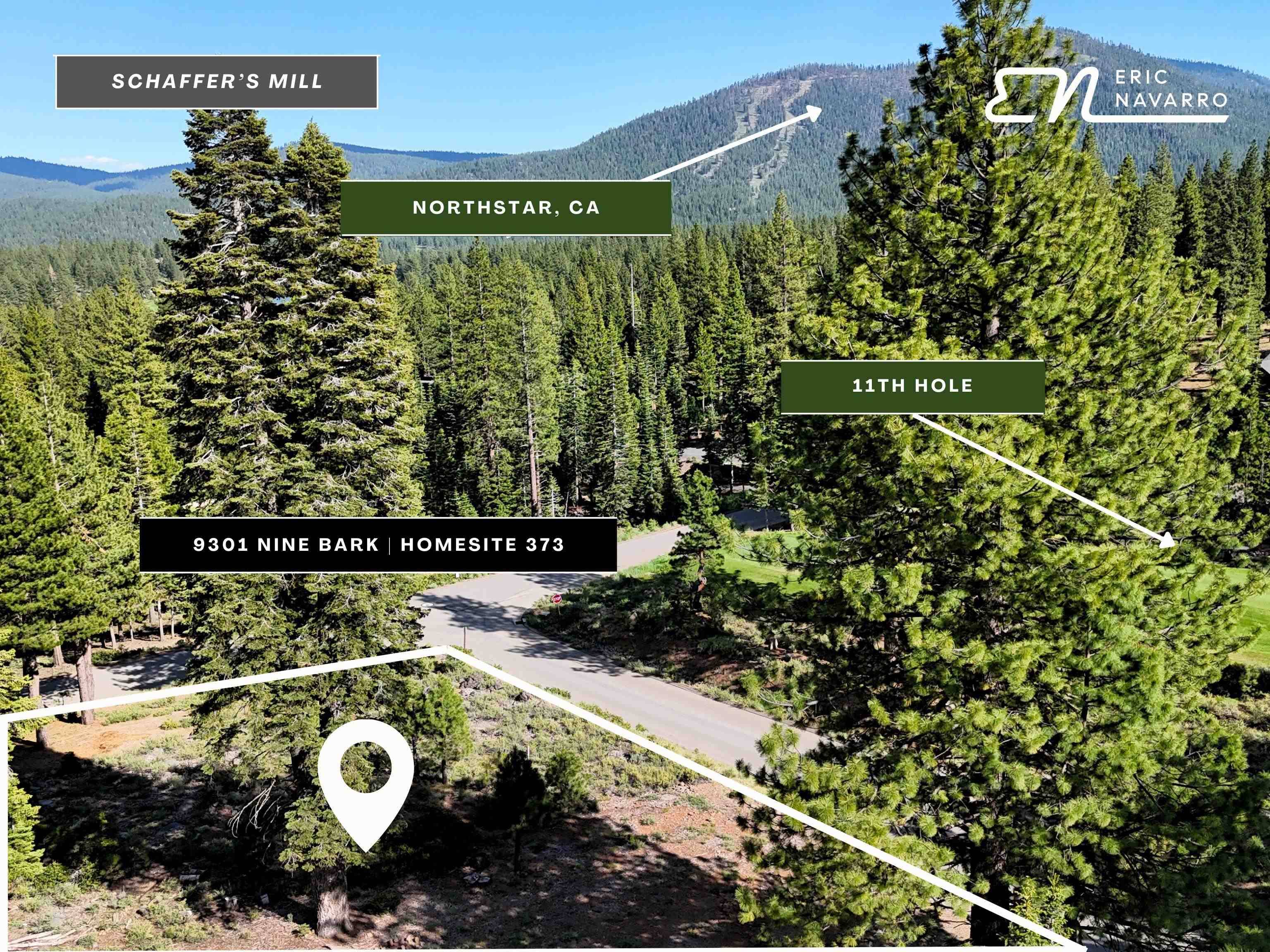 Truckee, CA 96161,9301 Nine Bark Road