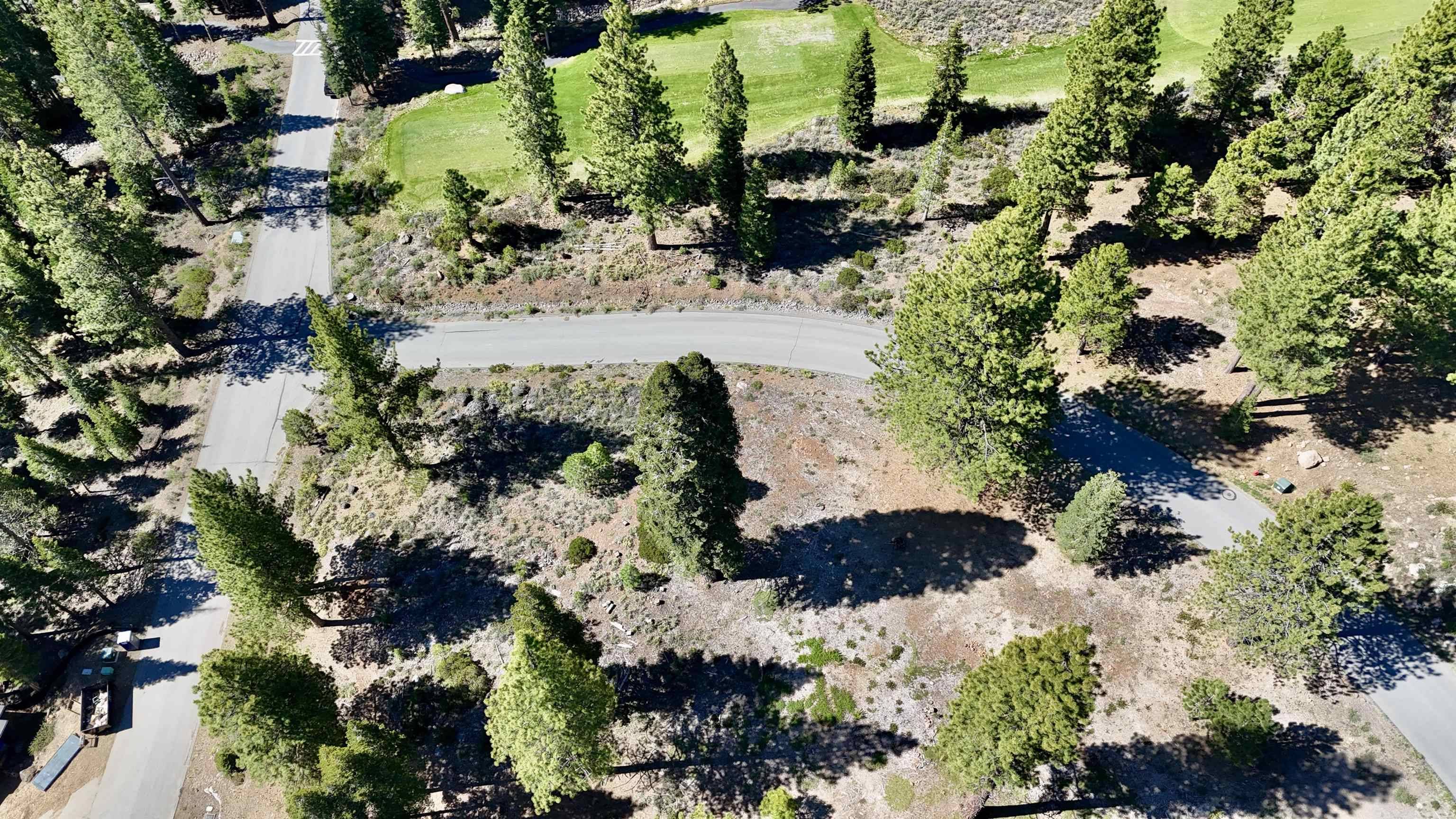 Truckee, CA 96161,9301 Nine Bark Road