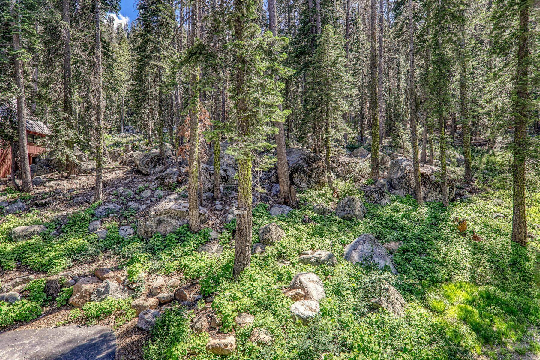 Truckee, CA 96161,15801 Conifer Drive