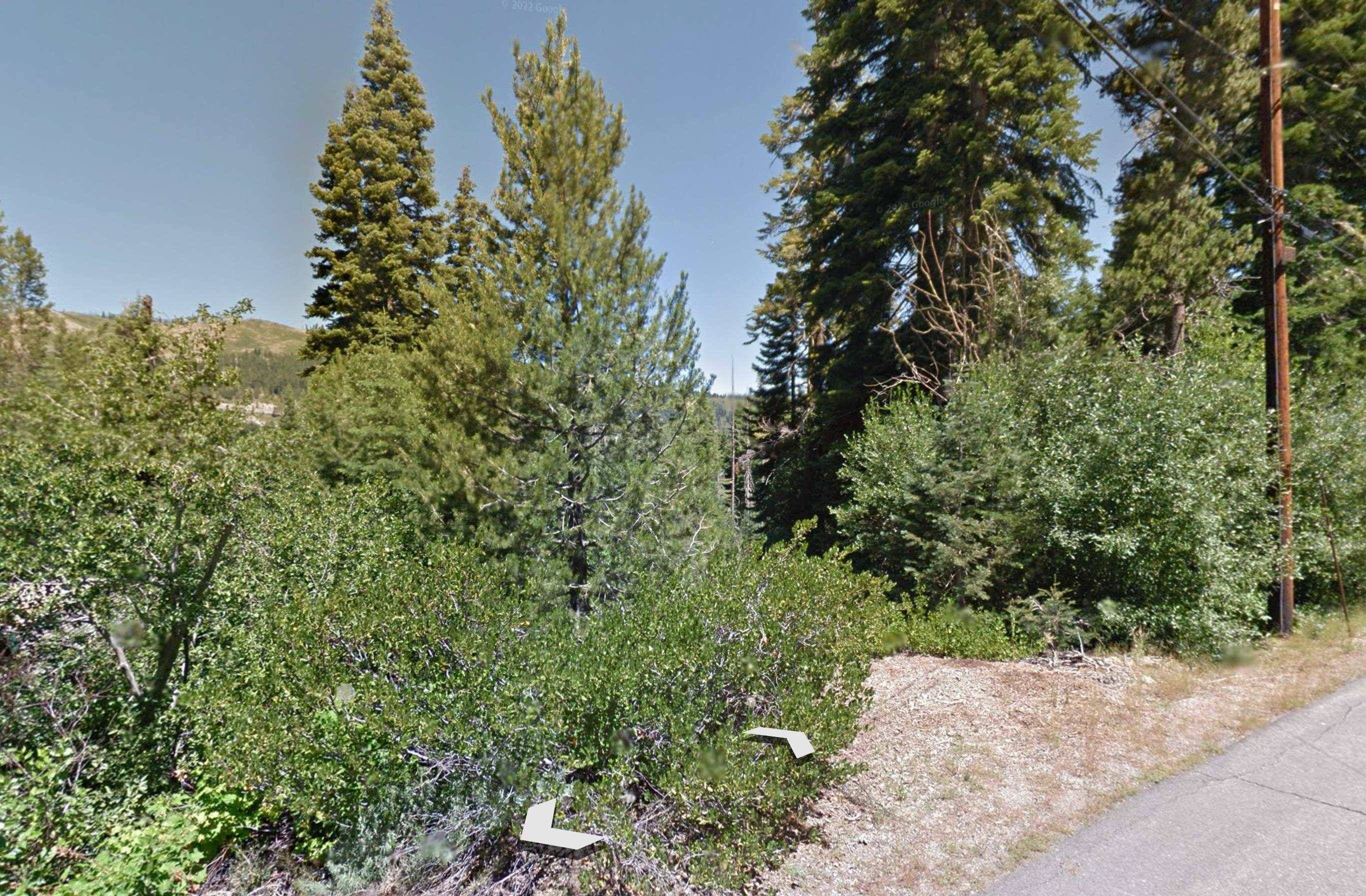 Truckee, CA 96161,14704 Mt Judah Drive