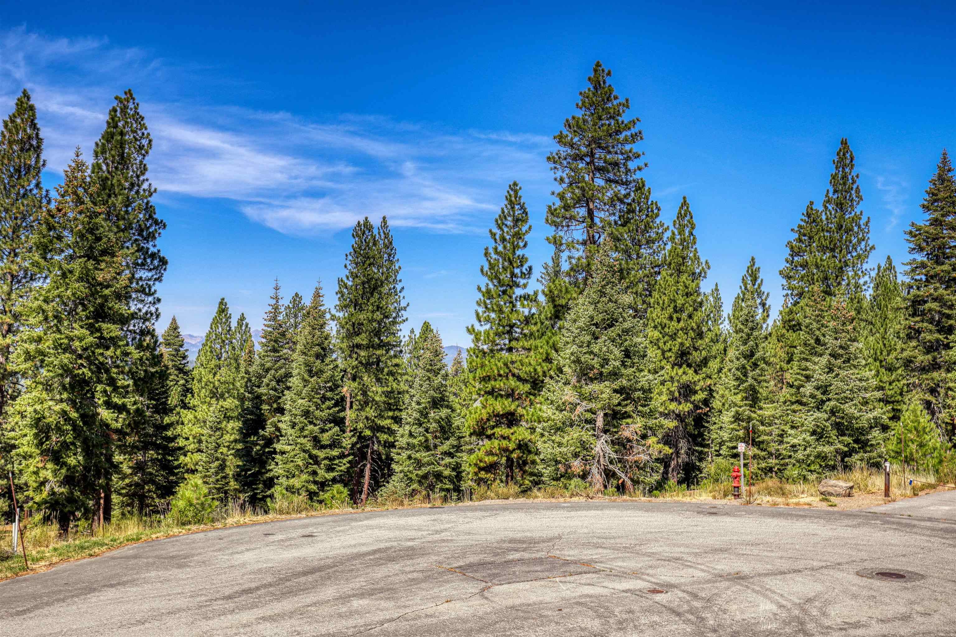 Truckee, CA 96161,2785 Cross Cut Court