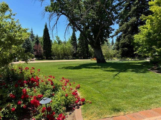 Reno, NV 89509,631 California Avenue