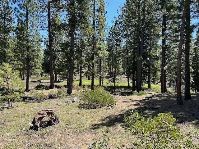 Truckee, CA 96161,12364 Garwood Dean