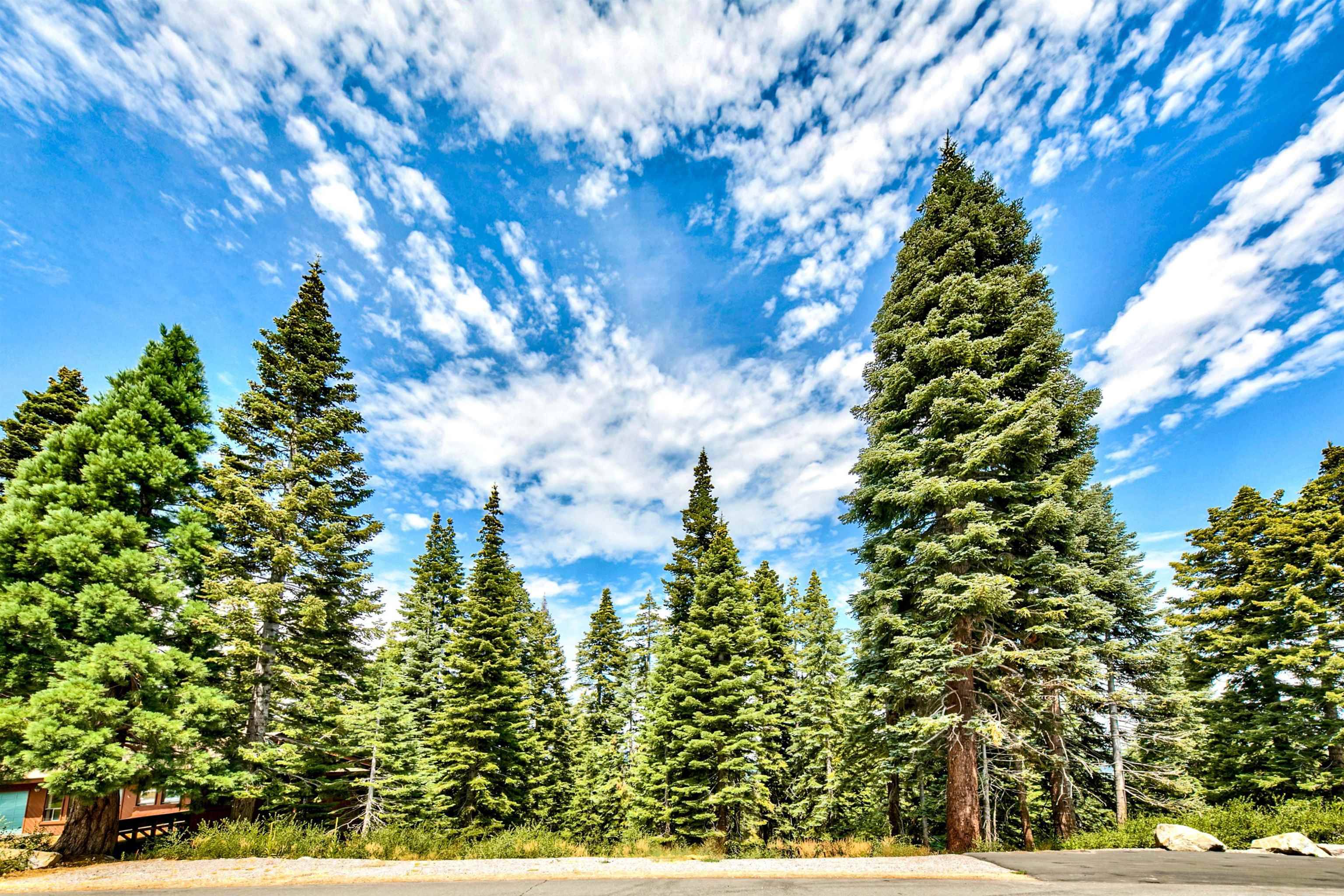 Truckee, CA 96161-0000,12005 Skislope Way