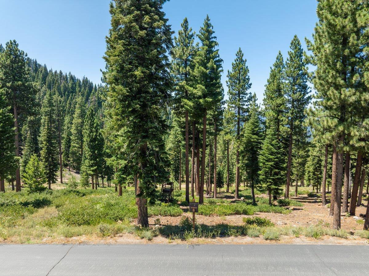 Truckee, CA 96161,19070 Glades Place