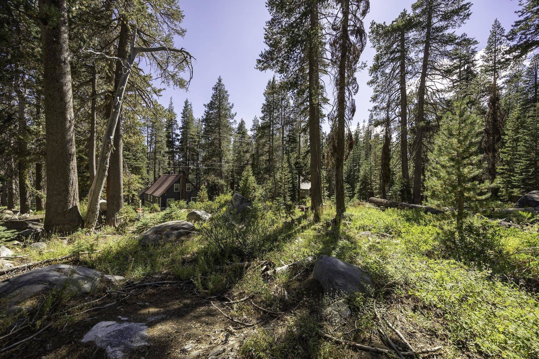 Soda Springs, CA 95728,21276 Donner Drive