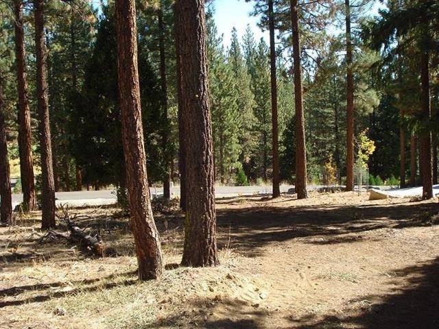 Portola, CA 96122,357 Big Grizzly