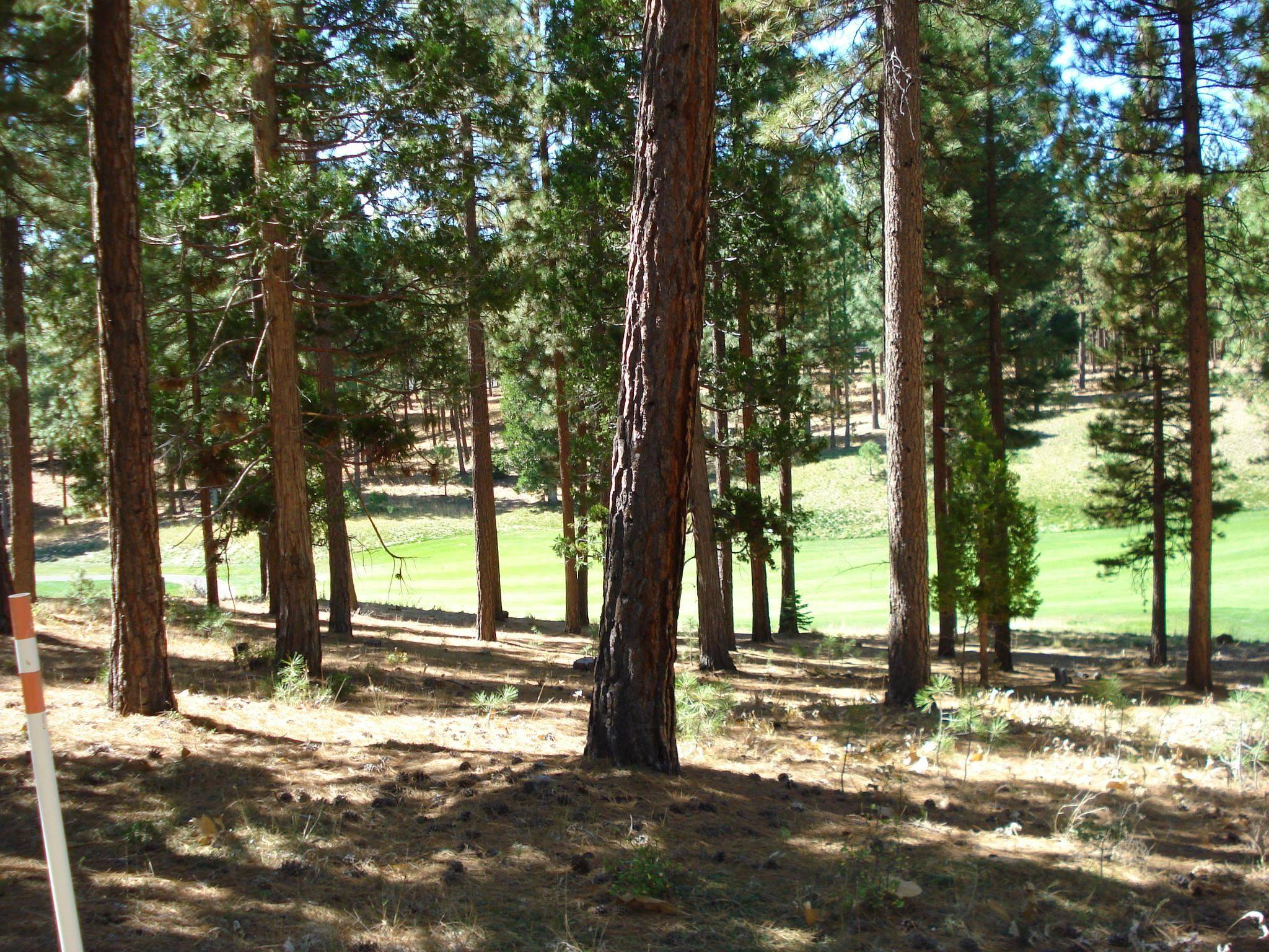Portola, CA 96122,139 Bird Of Prey Lane