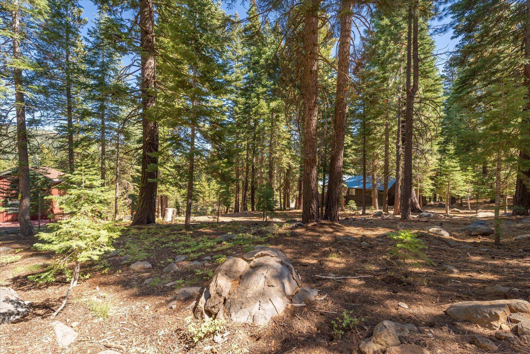 Truckee, CA 96161,14007 Pathway Avenue