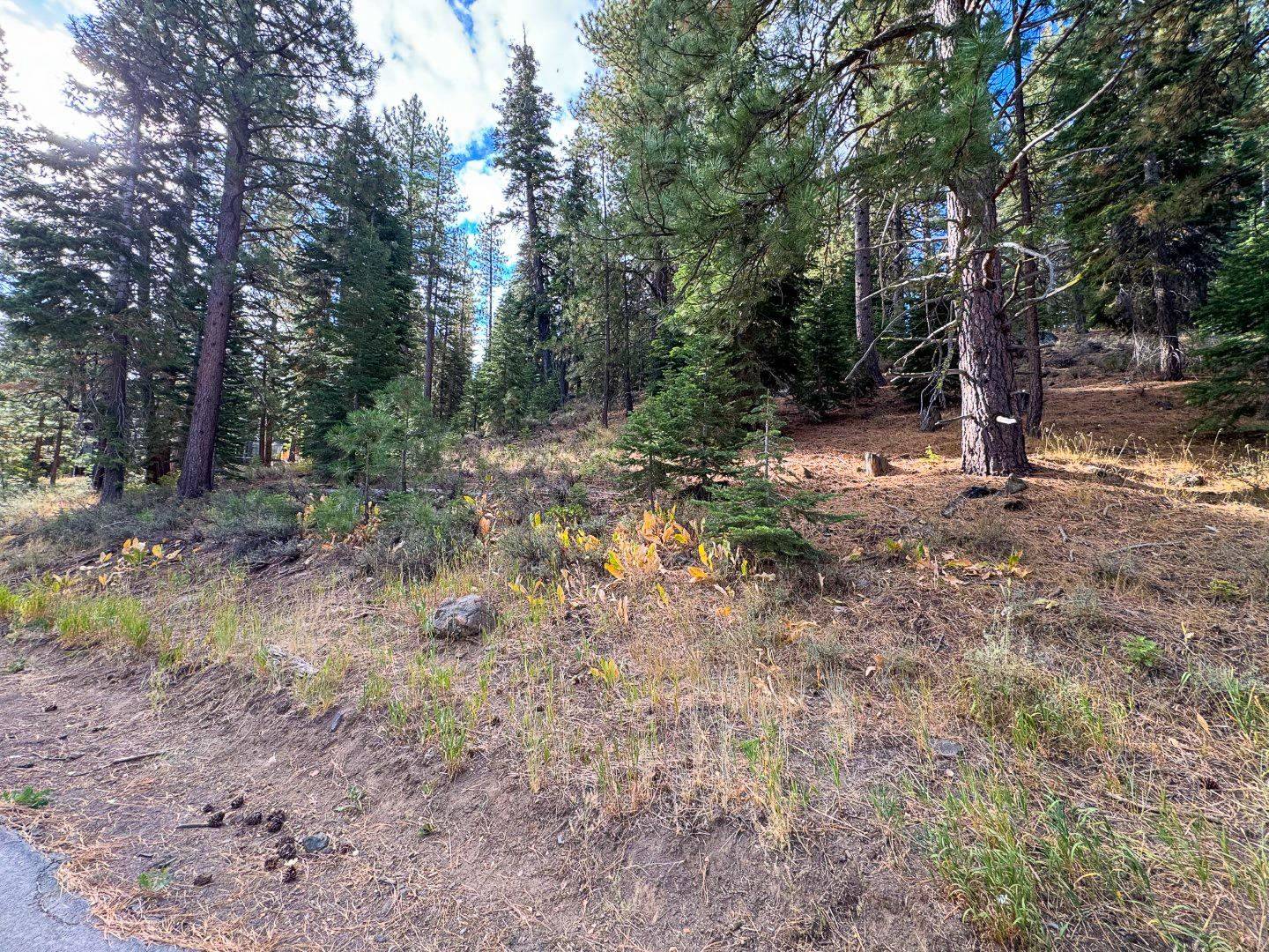 Truckee, CA 96161,15675 Donnington Lane