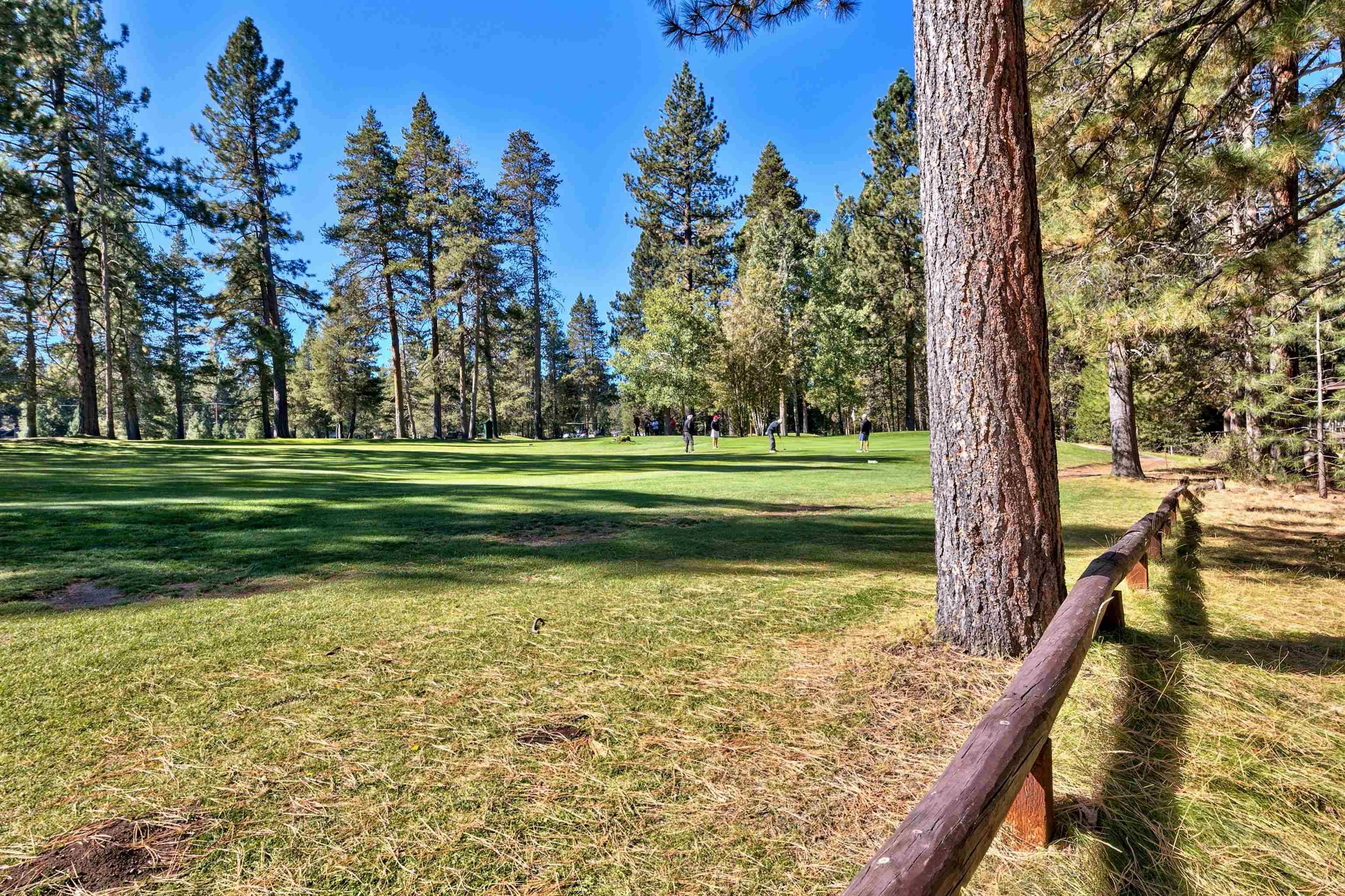 Truckee, CA 96161,10229 Reynold Way