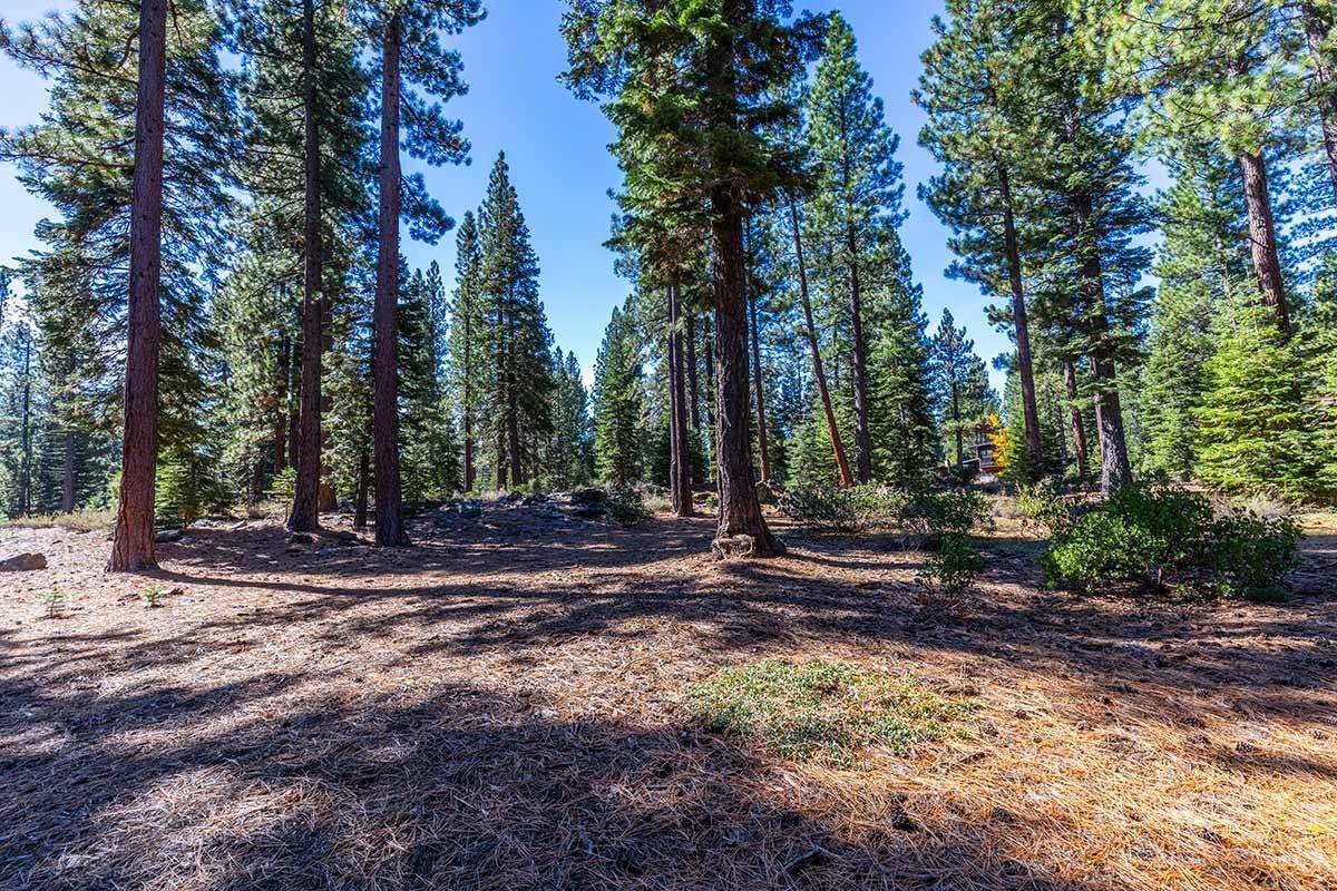 Truckee, CA 96161,8220 Olana Court