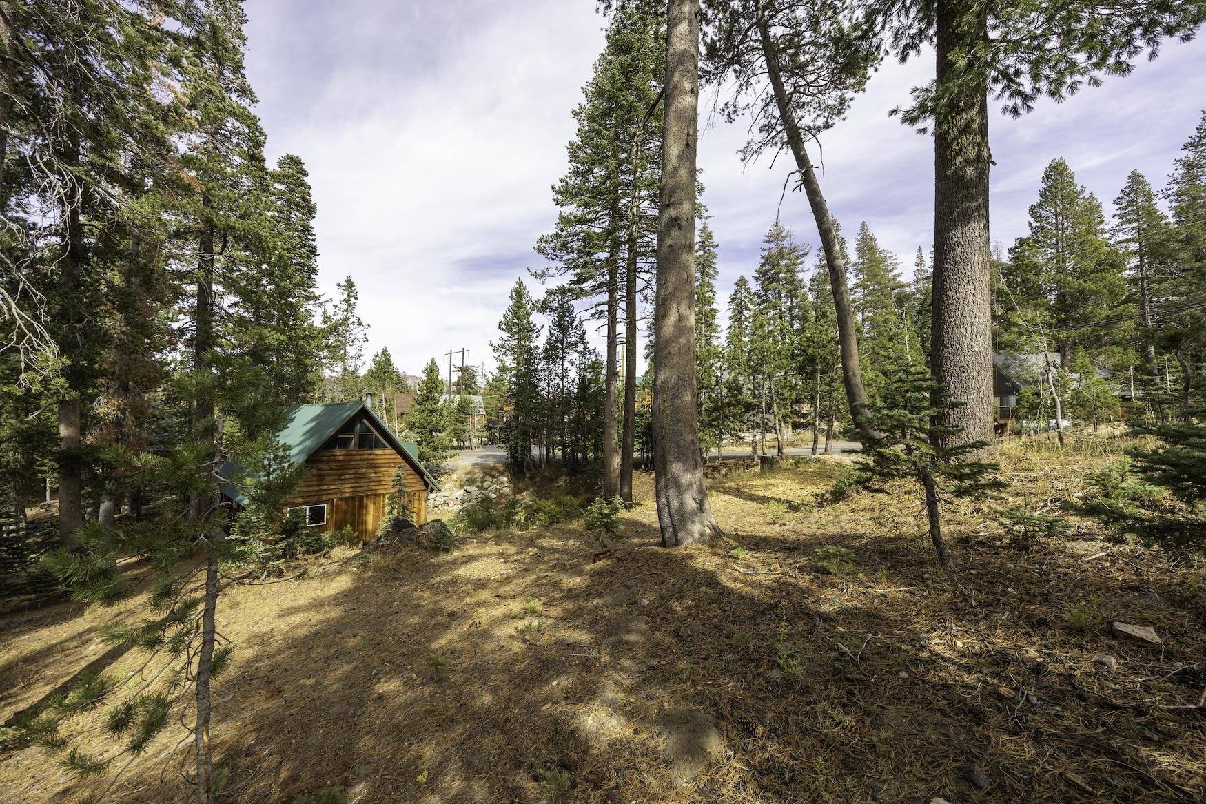 Soda Springs, CA 95728-9999,8141 Soda Springs Road