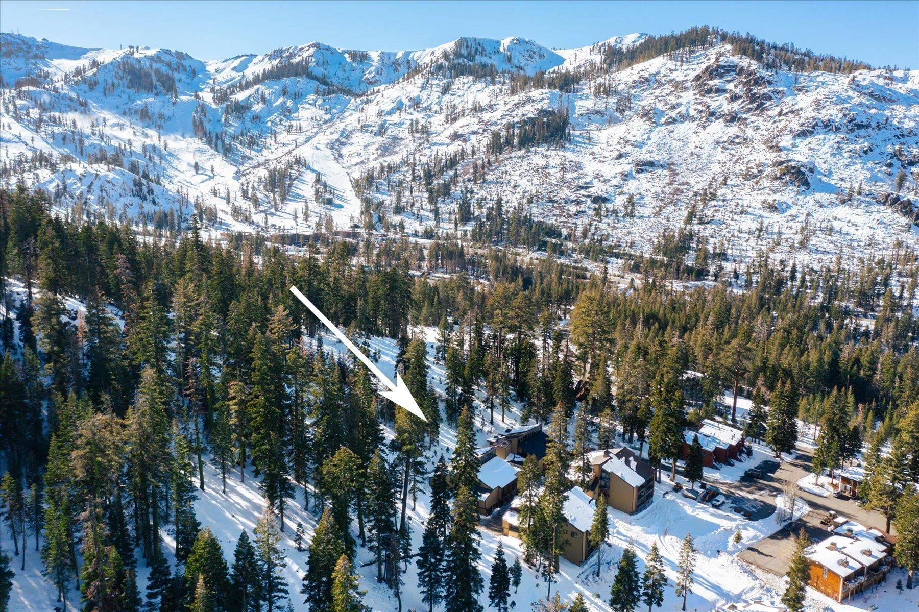 Alpine Meadows, CA 96146,2201 Scott Peak Place #49
