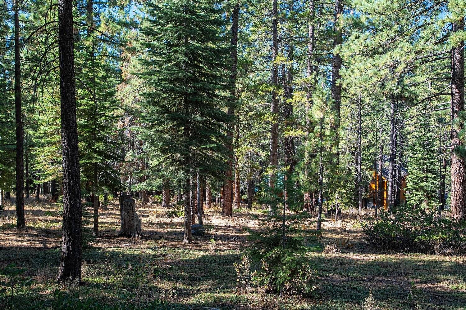 Truckee, CA 96161,11260 Mougle Lane