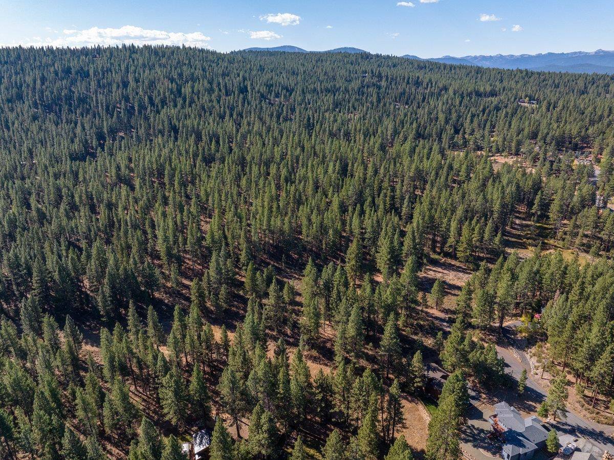 Truckee, CA 96161,10719 Regency Circle