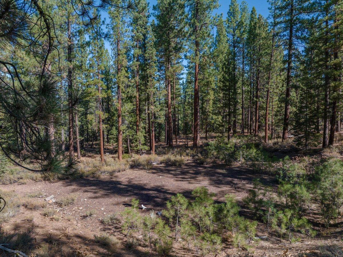 Truckee, CA 96161,10797 Regency Circle