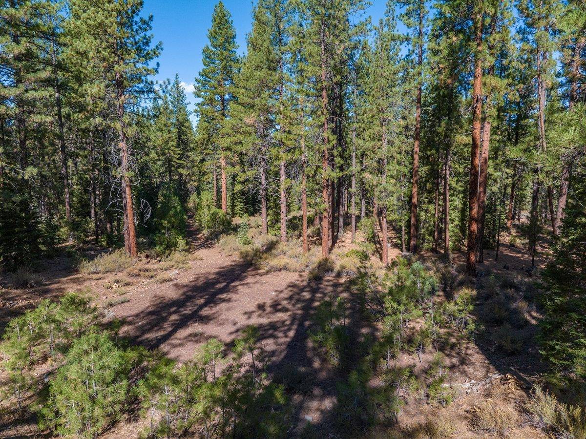 Truckee, CA 96161,10797 Regency Circle