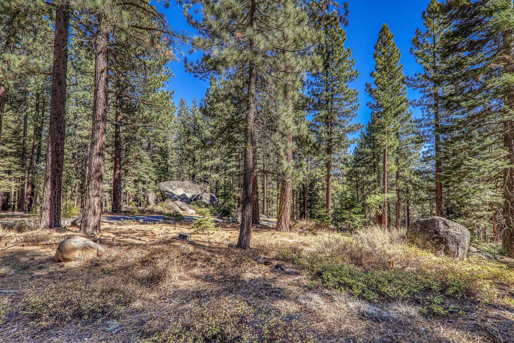 Truckee, CA 96161,10728 Bert Road