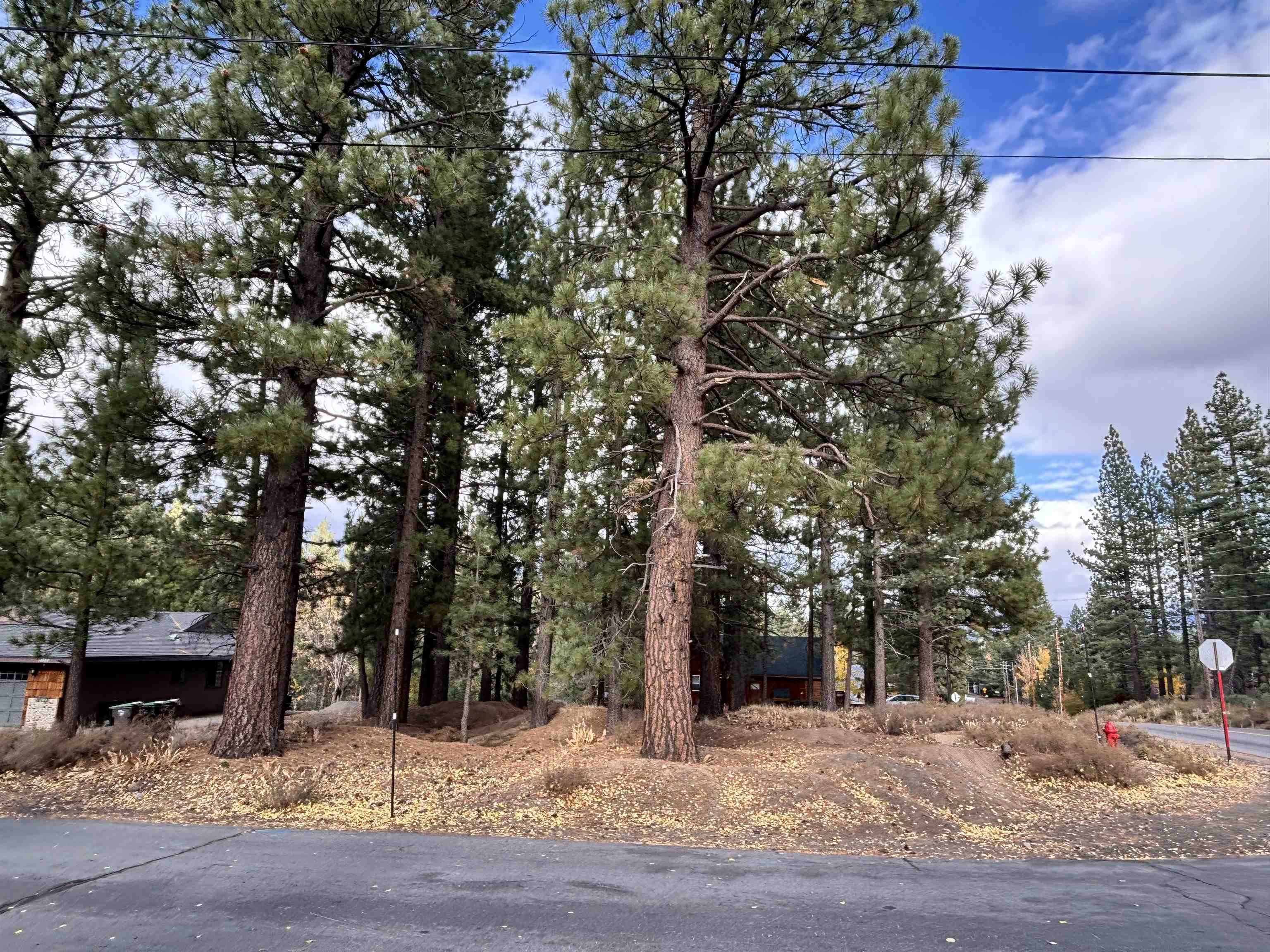 Truckee, CA 96161,10294 Sugar Pine Road