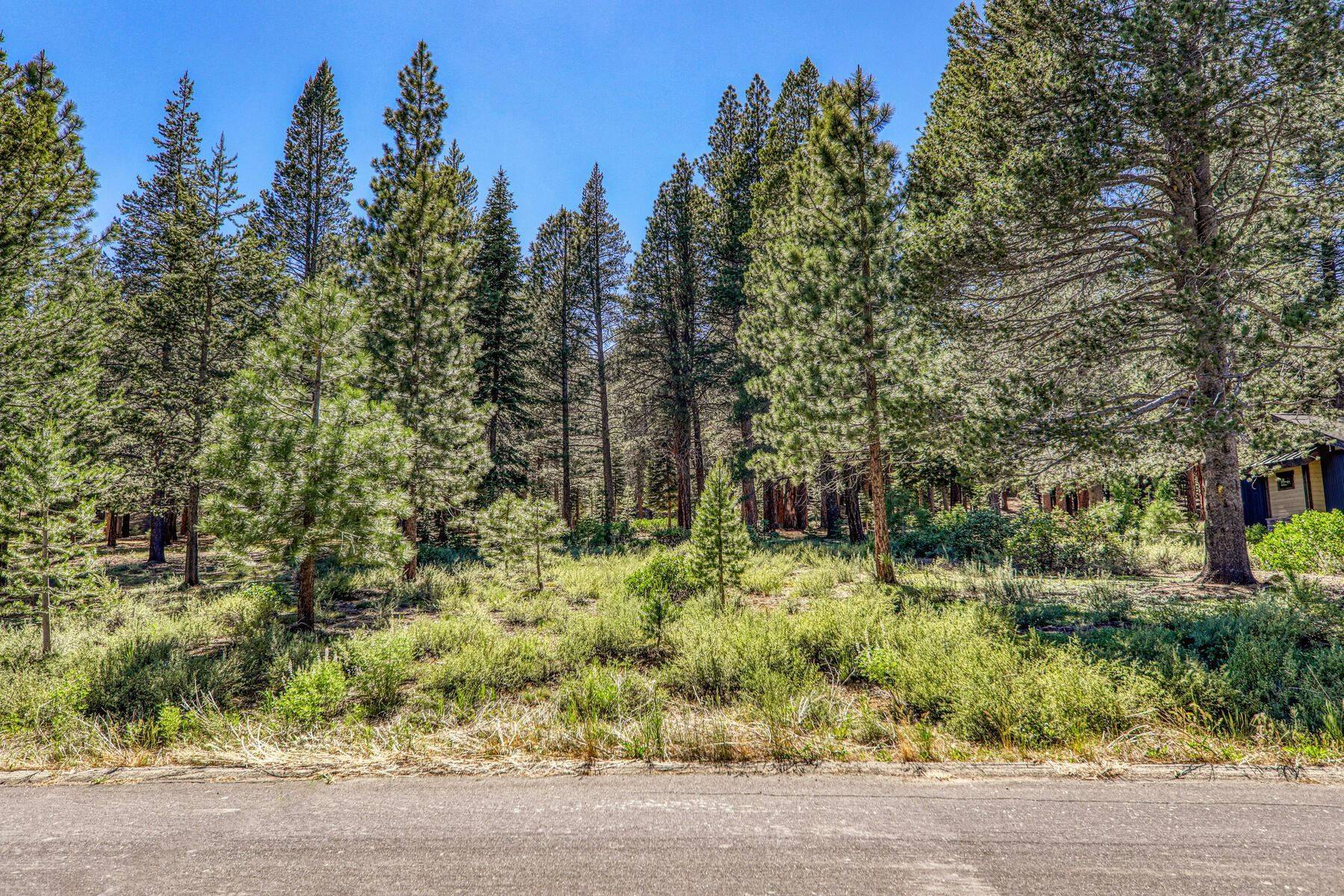 Truckee, CA 96161,11850 Bottcher Loop