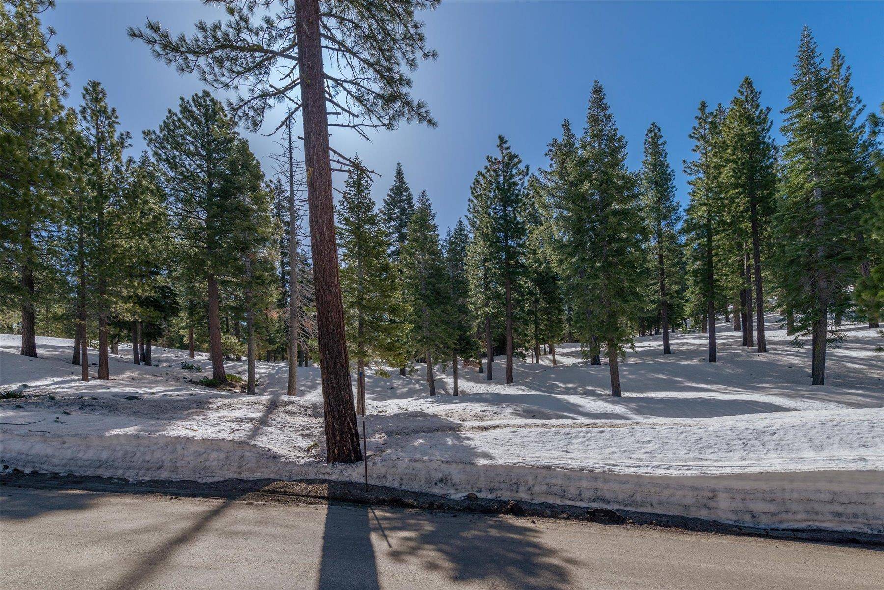 Truckee, CA 96161,2640 Mill Site Road