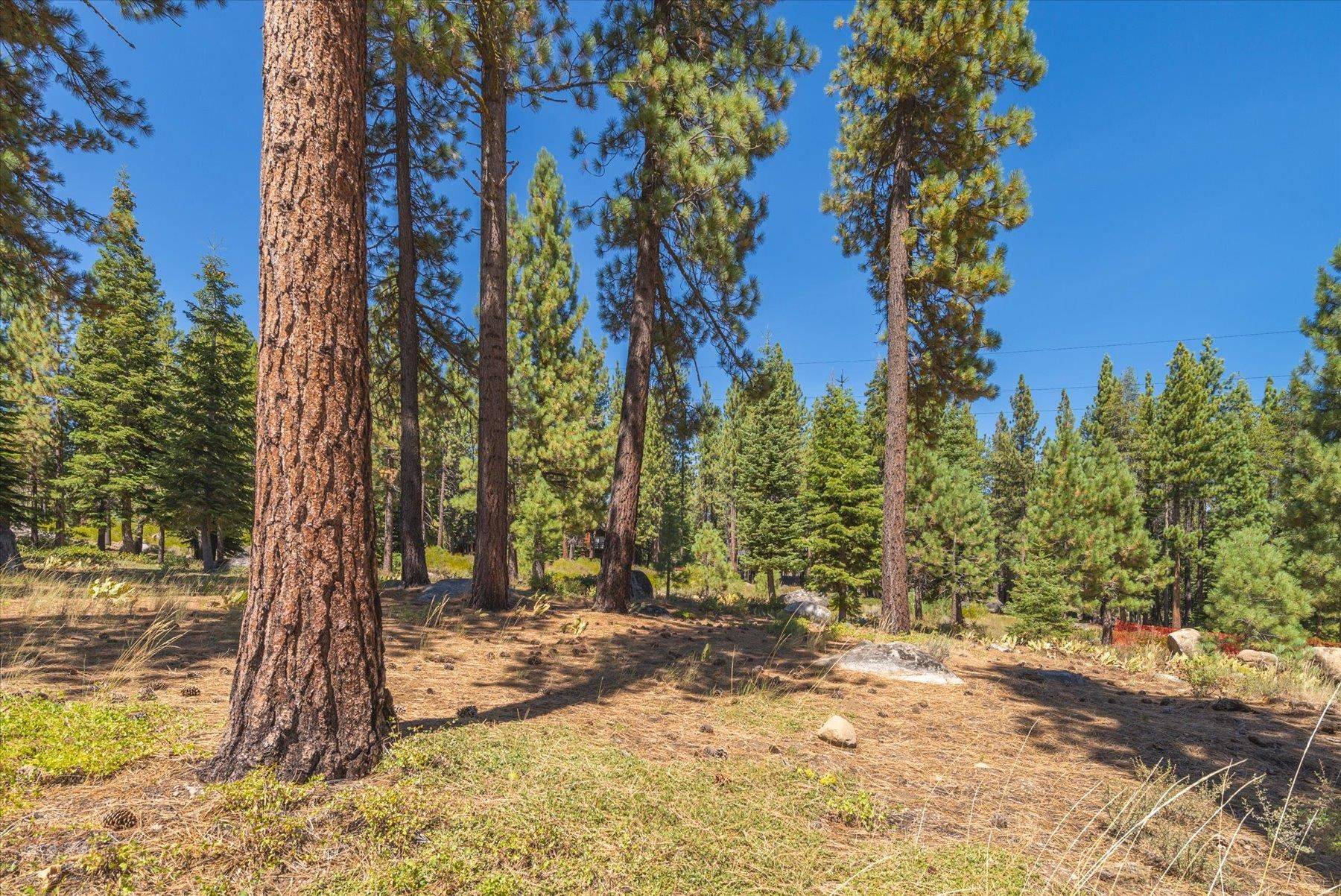 Truckee, CA 96161,11840 Lamplighter Way