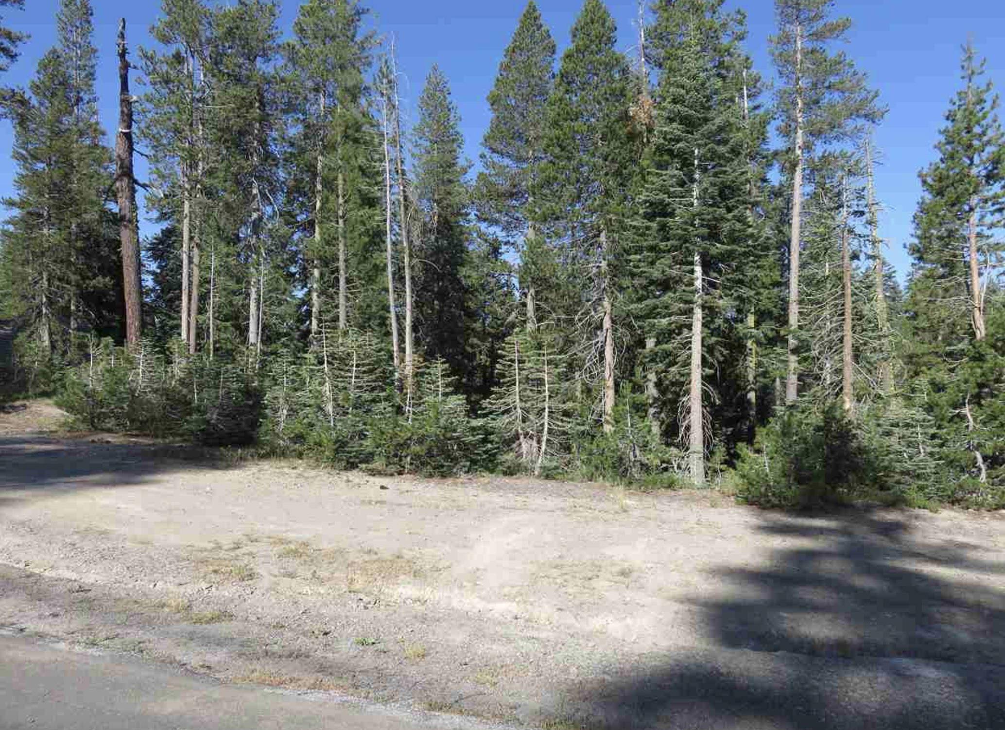 Soda Springs, CA 95728,8121 Soda Springs Road