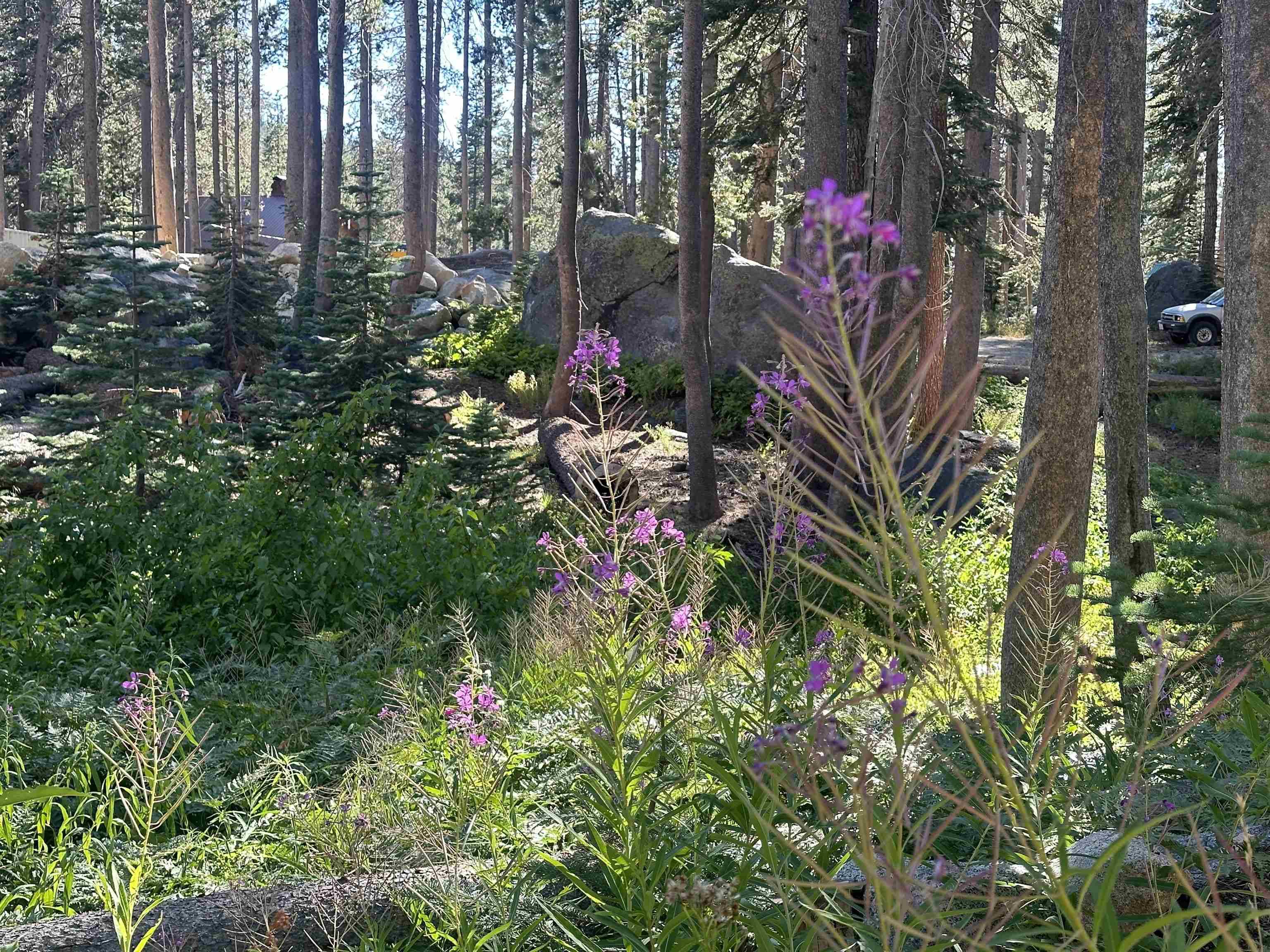 Soda Springs, CA 95728,21932 Yuba Trail