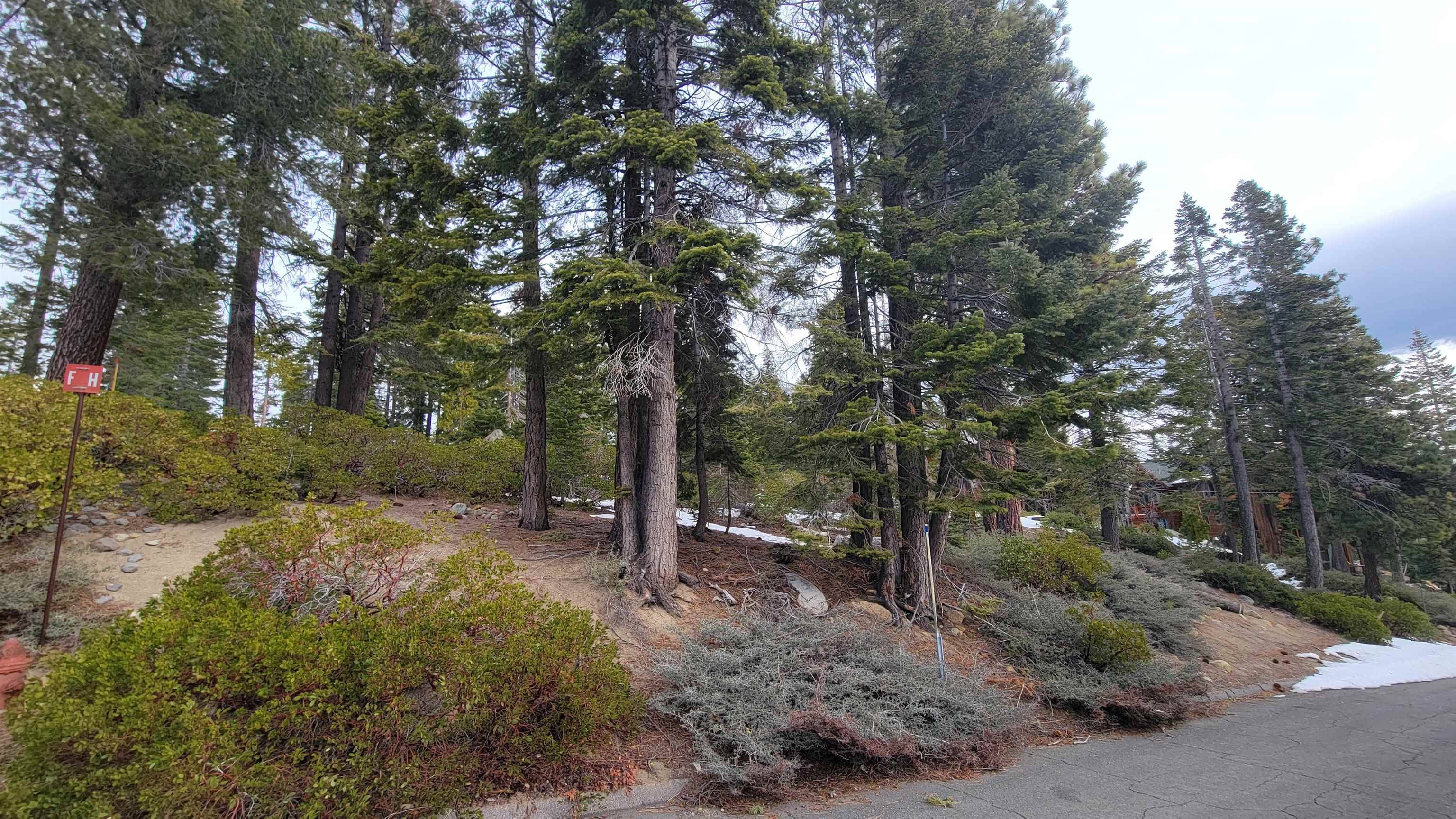 Tahoma, CA 96142,358 Northridge Drive