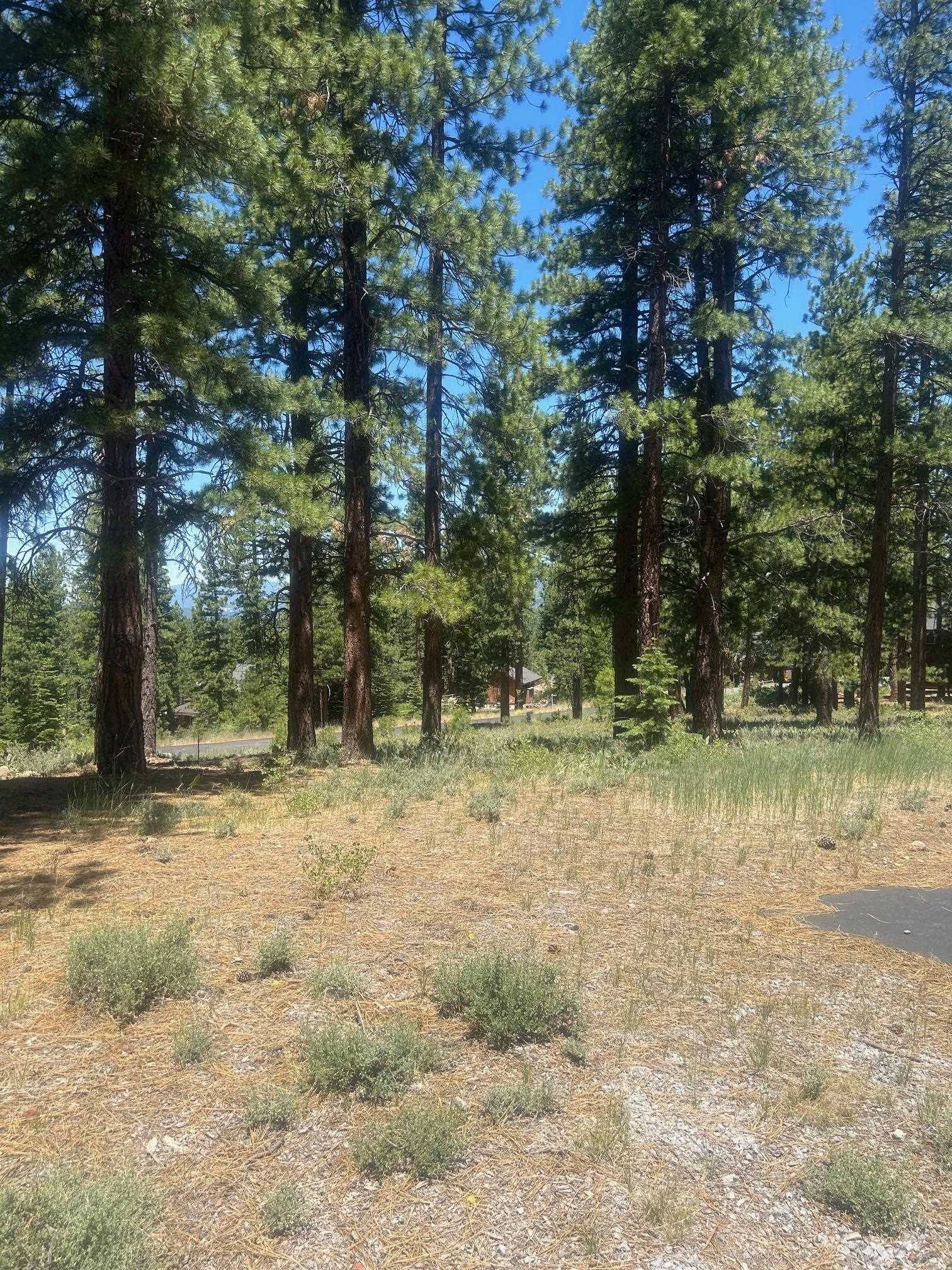 Truckee, CA 96161,15698 Sherwood Drive