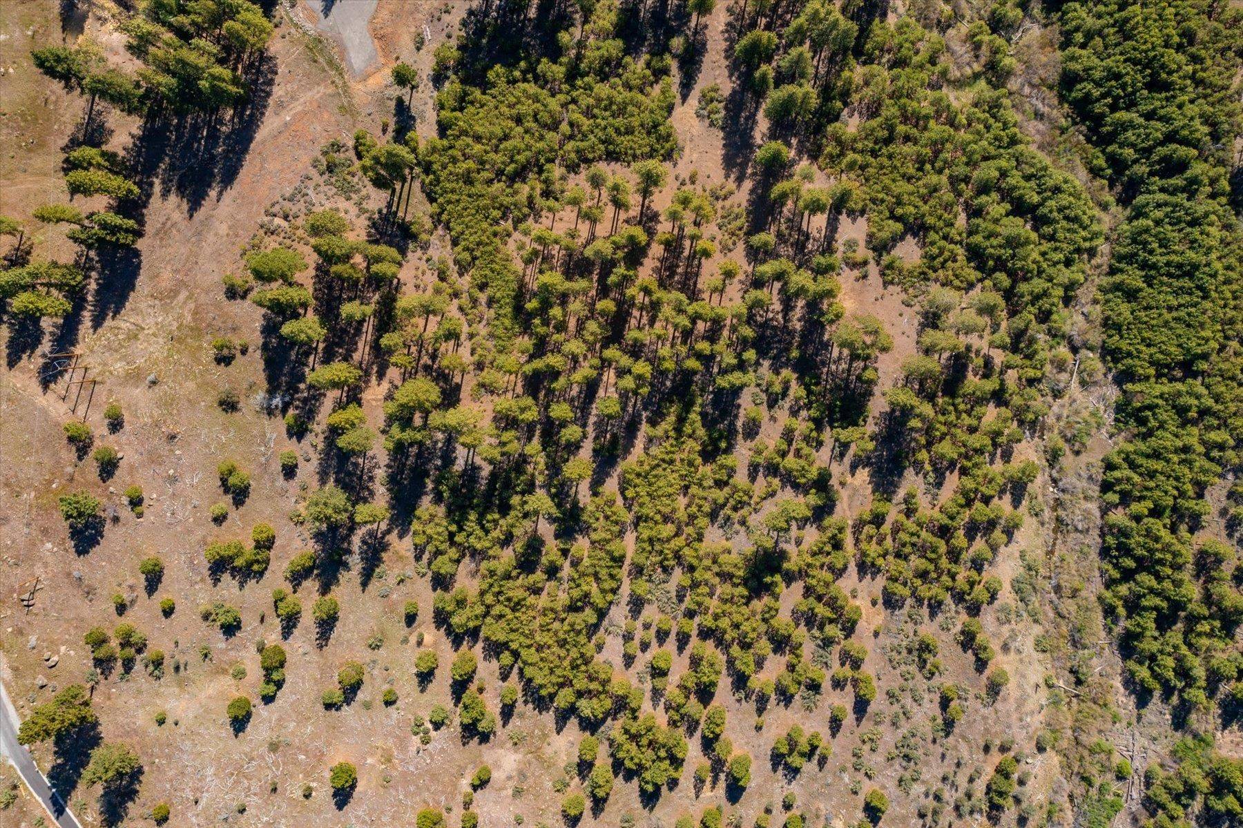 Verdi, CA 89439-0611,Feenune Road